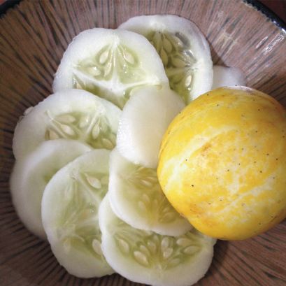 Concombre Citron 🍋