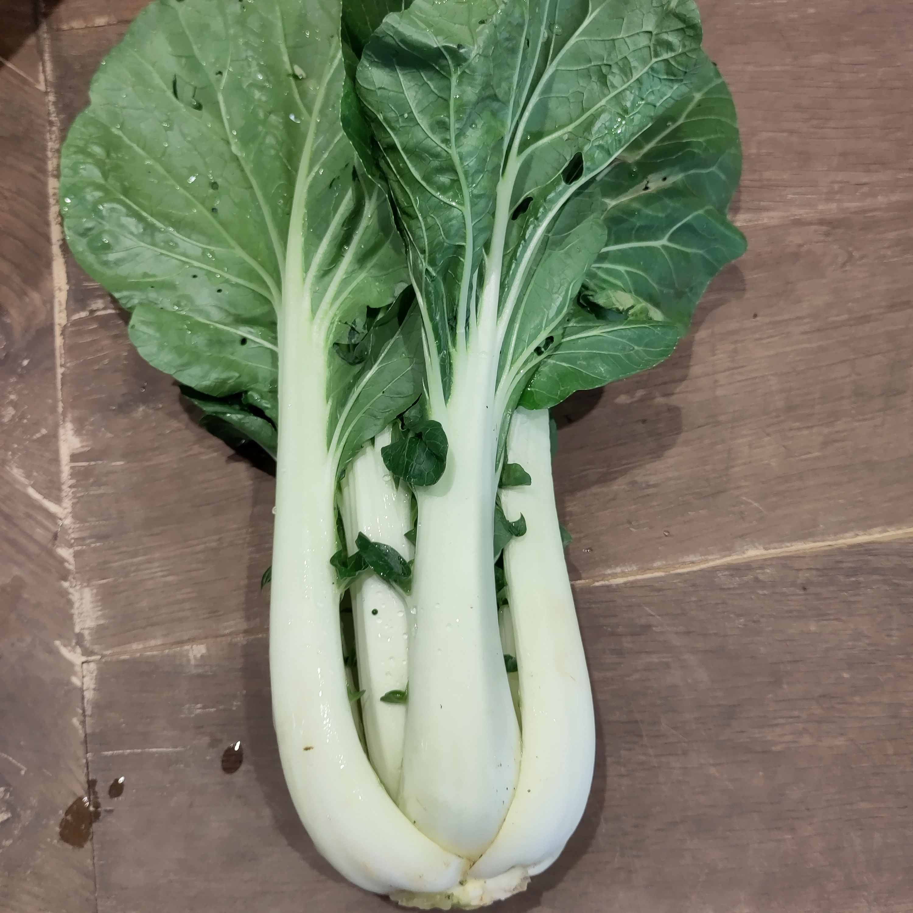 Chou chinois (pack-choï) BIO