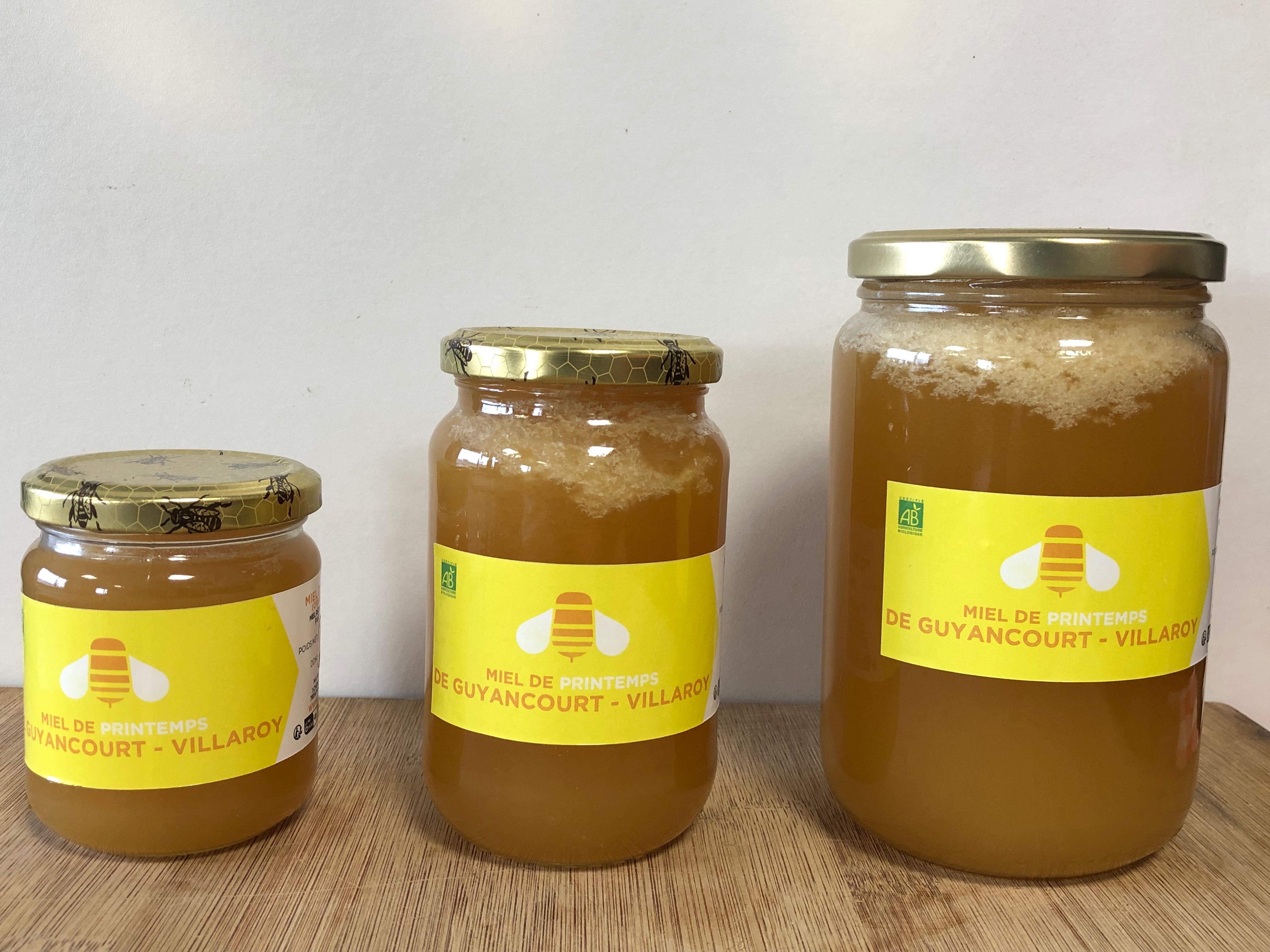 MIEL DU LYCÉE VILLAROY (Guyancourt) -Fleurs de PRINTEMPS