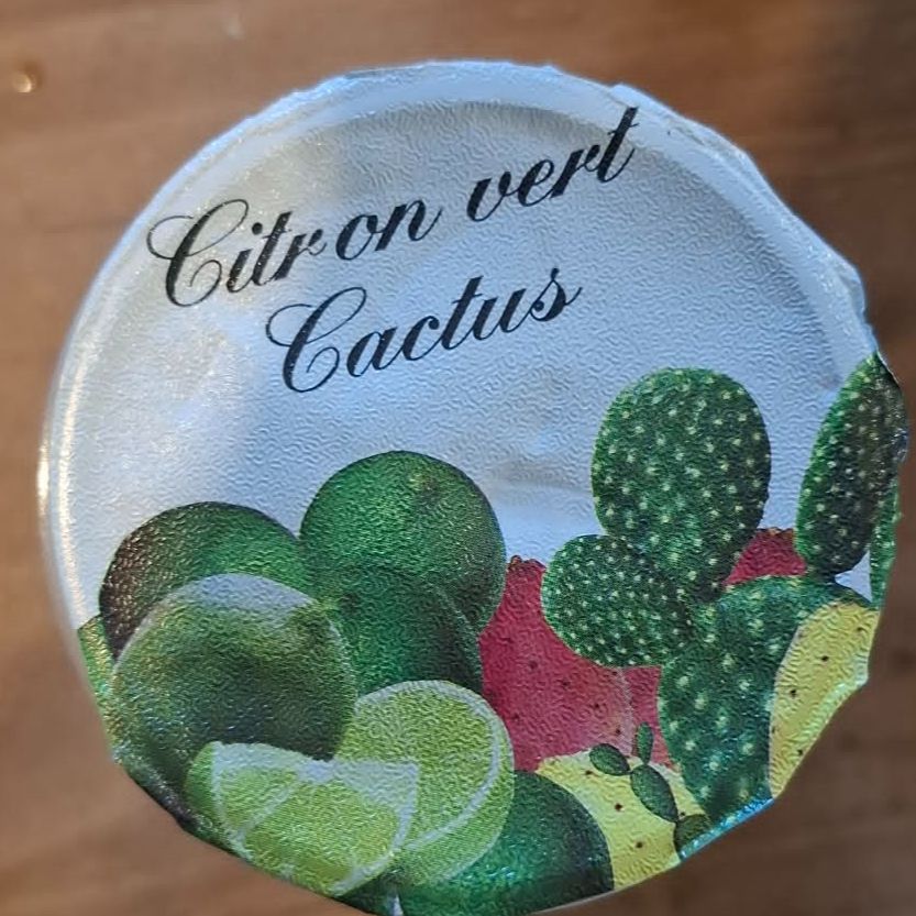 Yaourt CITRON VERT CACTUS 125g - (L'ESPRIT NORMAND)- revente - 125g