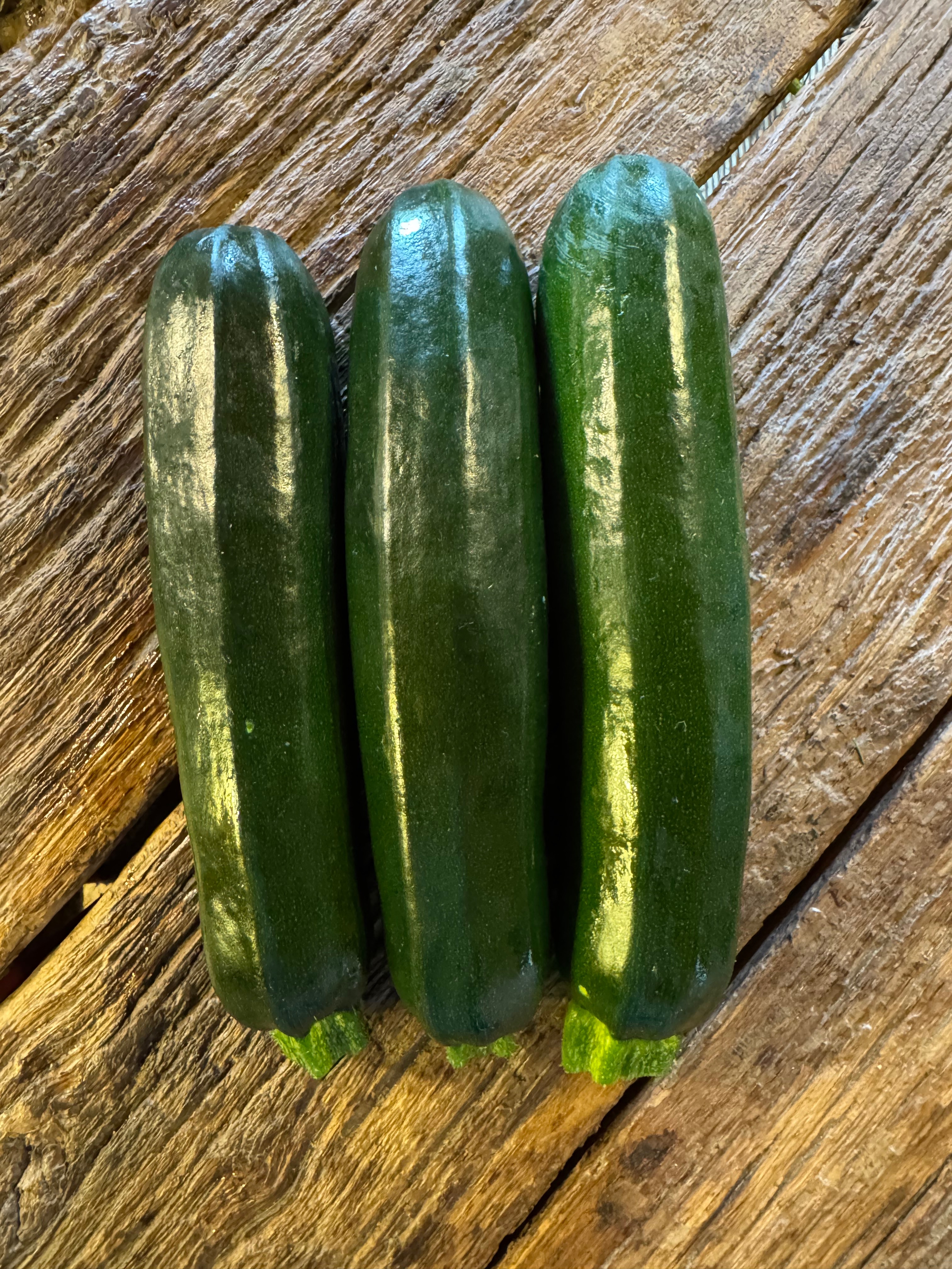 Courgette Longue Verte