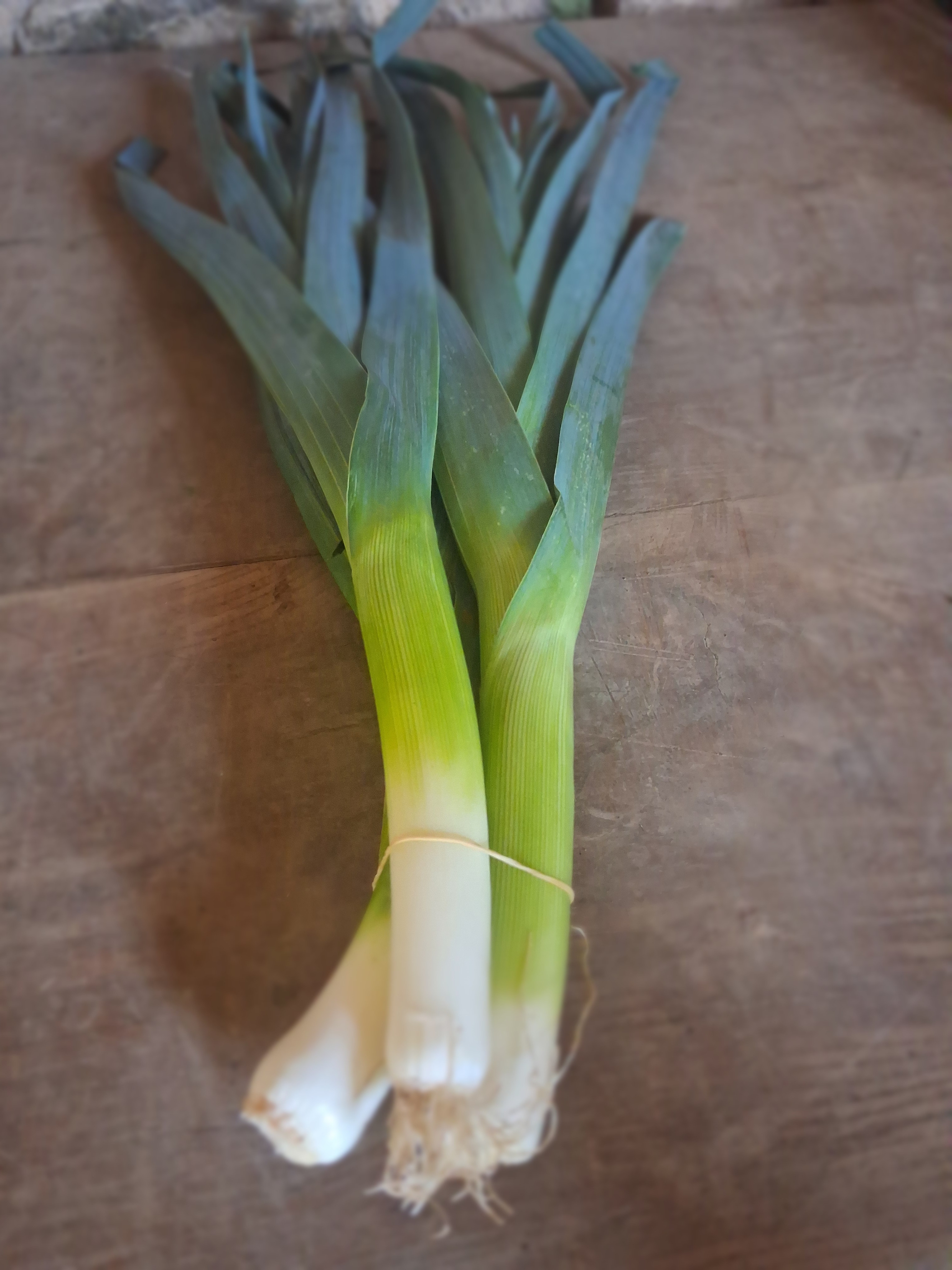 Poireau (calibre moyen) /grosse botte