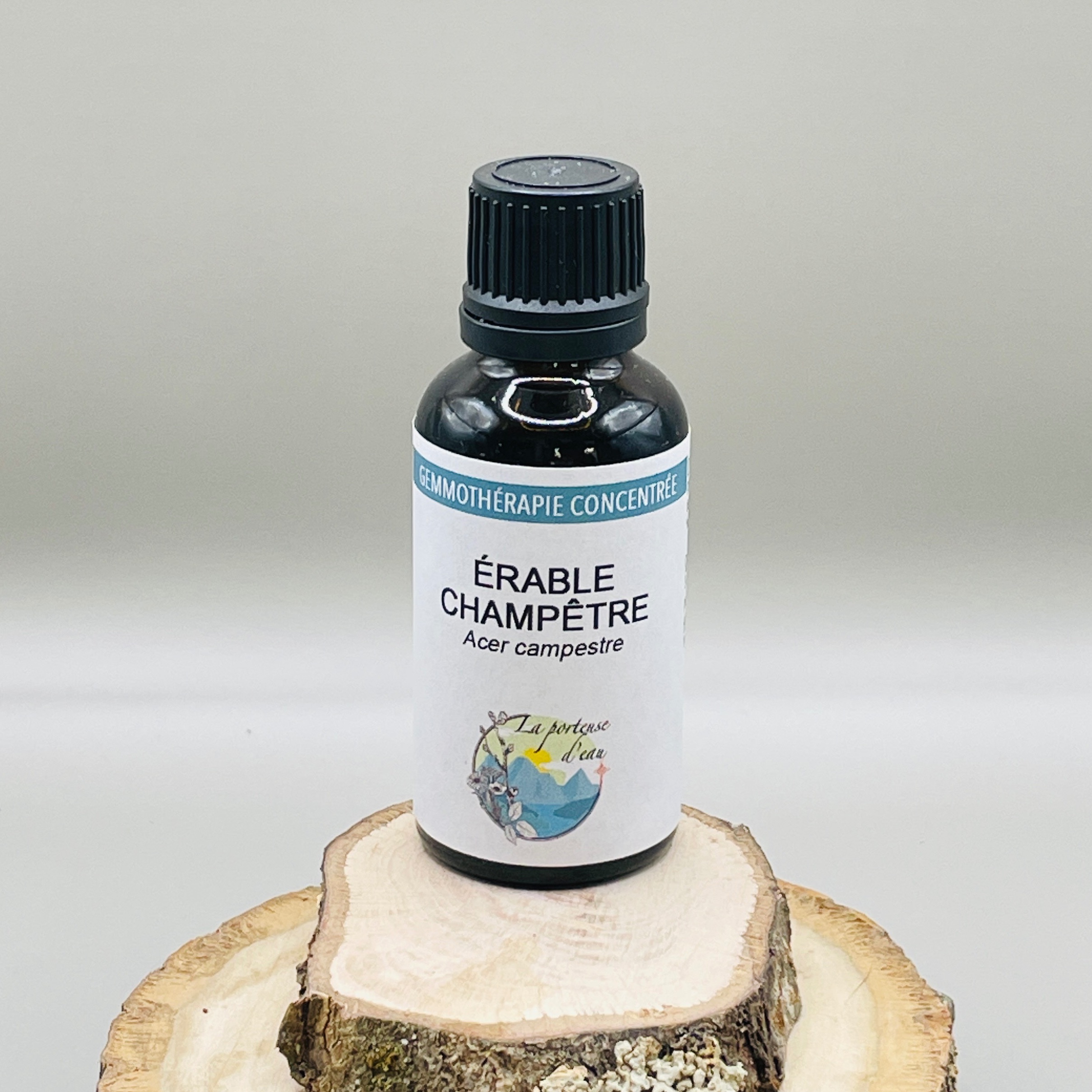 Erable champêtre
Acer campestre - 30ml