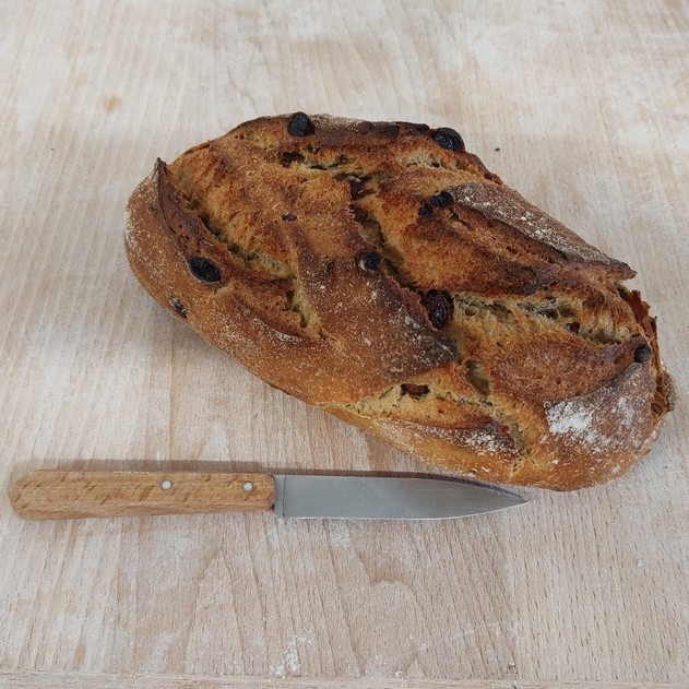 Raisin-noisette 1kg long - 1kg