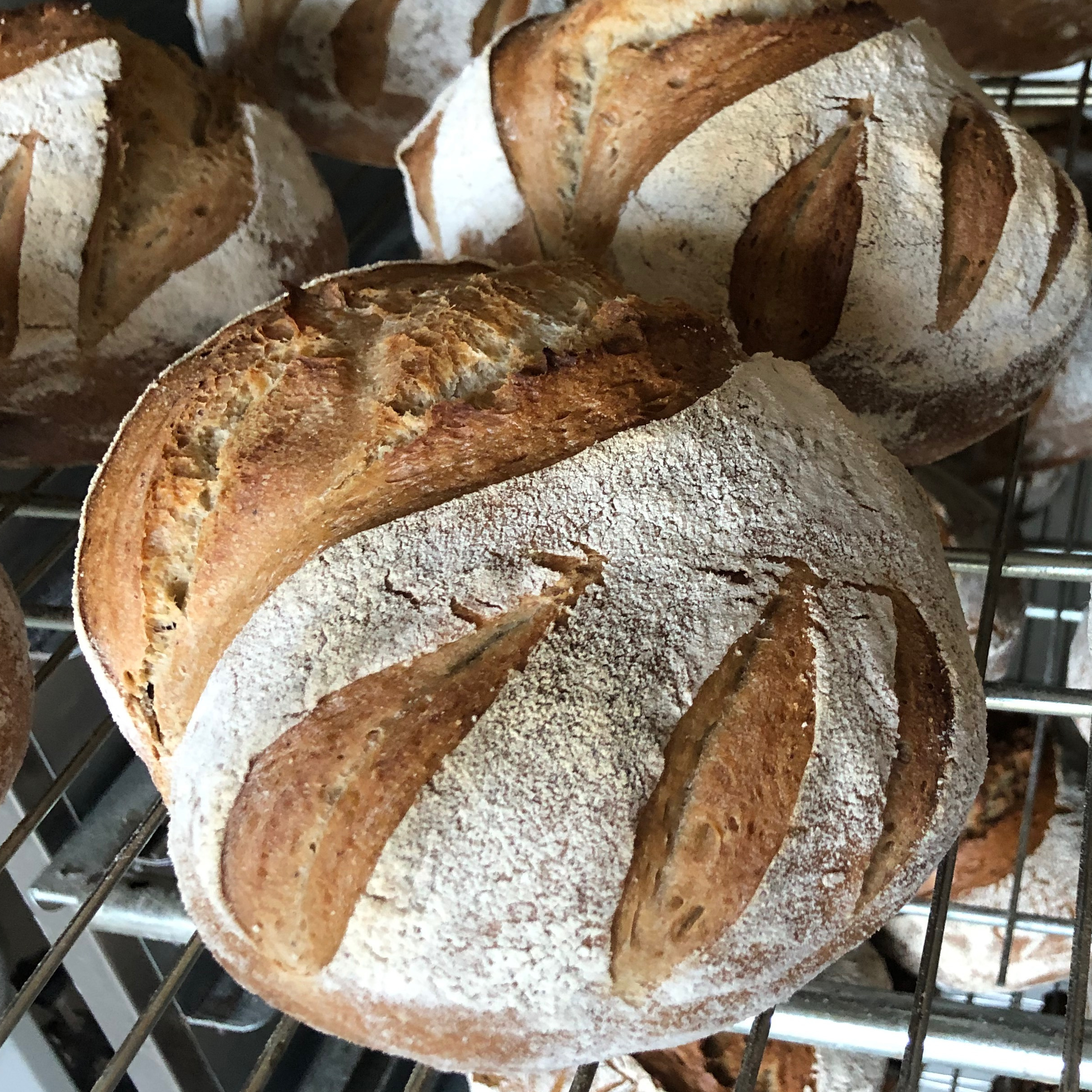 Pain bio au levain - Blé 750g