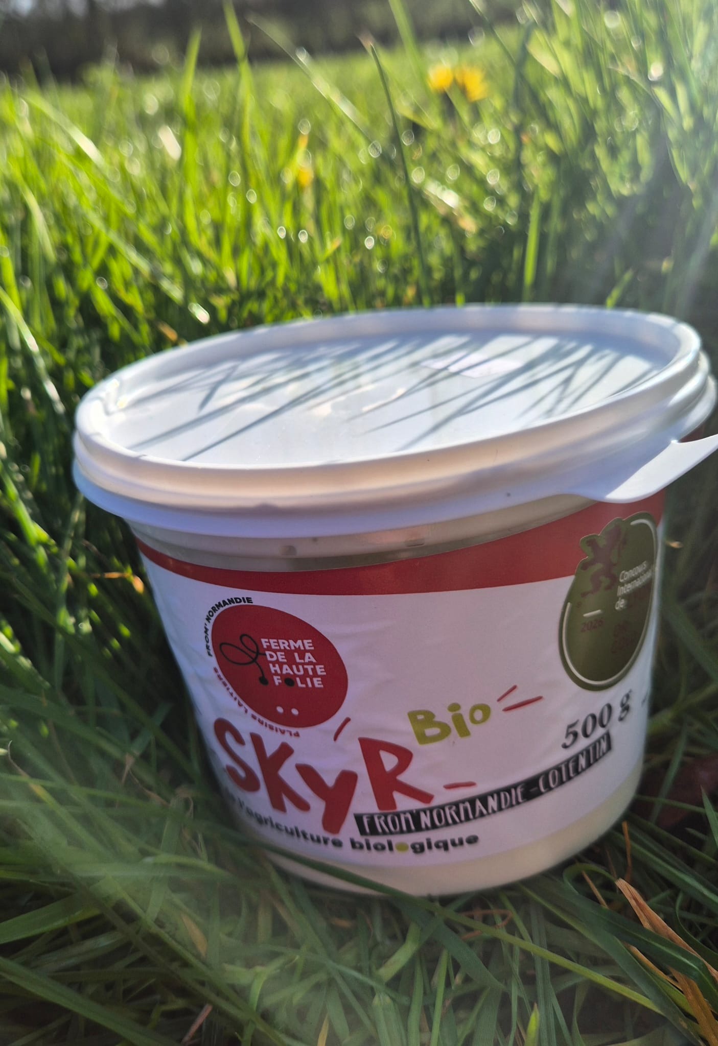 Skyr nature 500g , 1Kg et 5 Kg