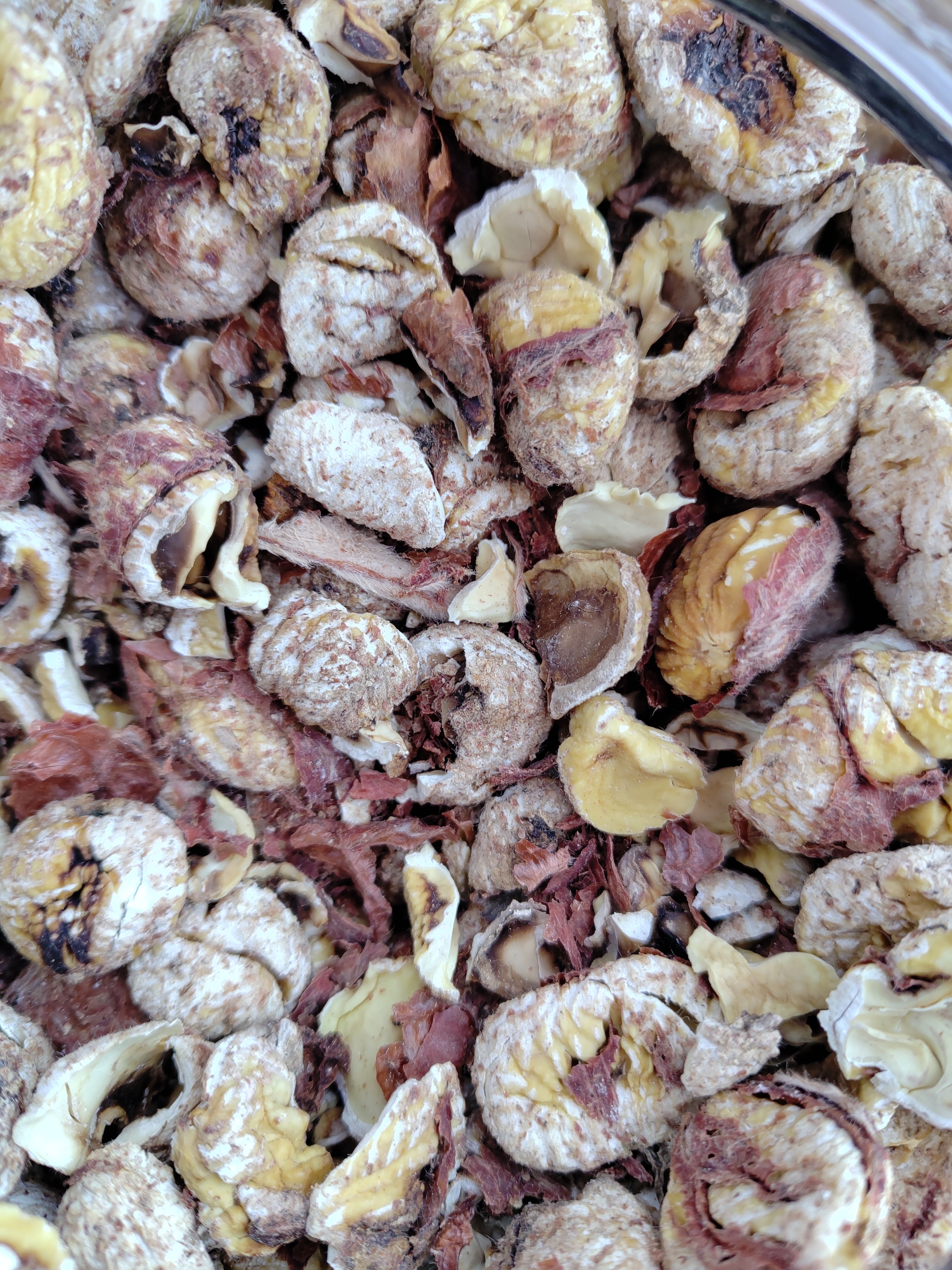 Châtaignons ( châtaigne séchés et grillé)