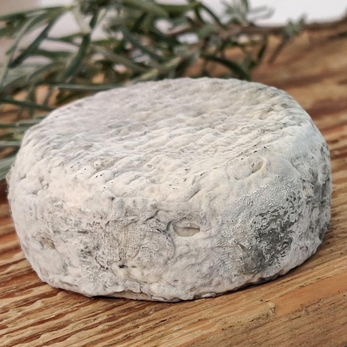Cabrotin - Cendré