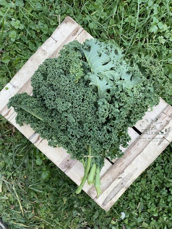 Chou kale vert - 350g