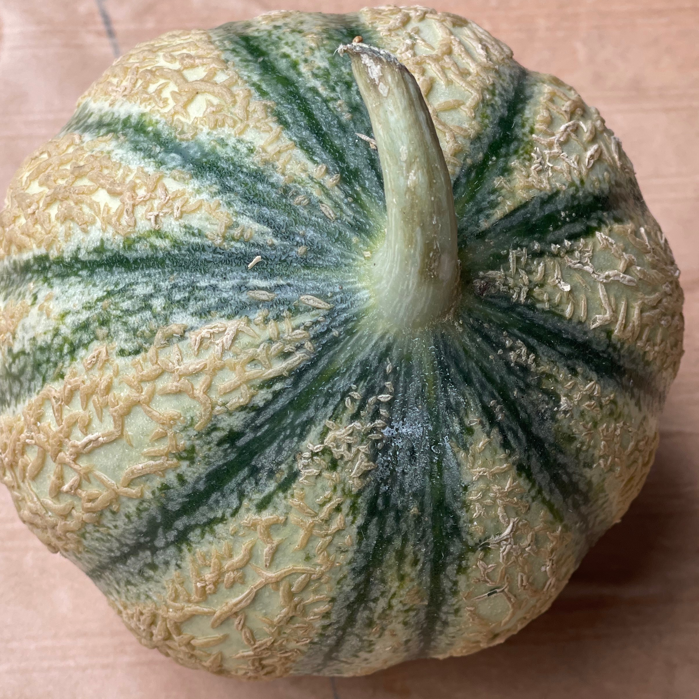 Melon 0,5kg - 0,5kg