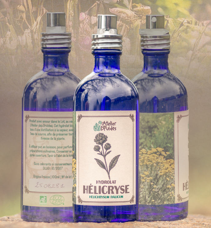 Hydrolat d'hélichryse - 100ml