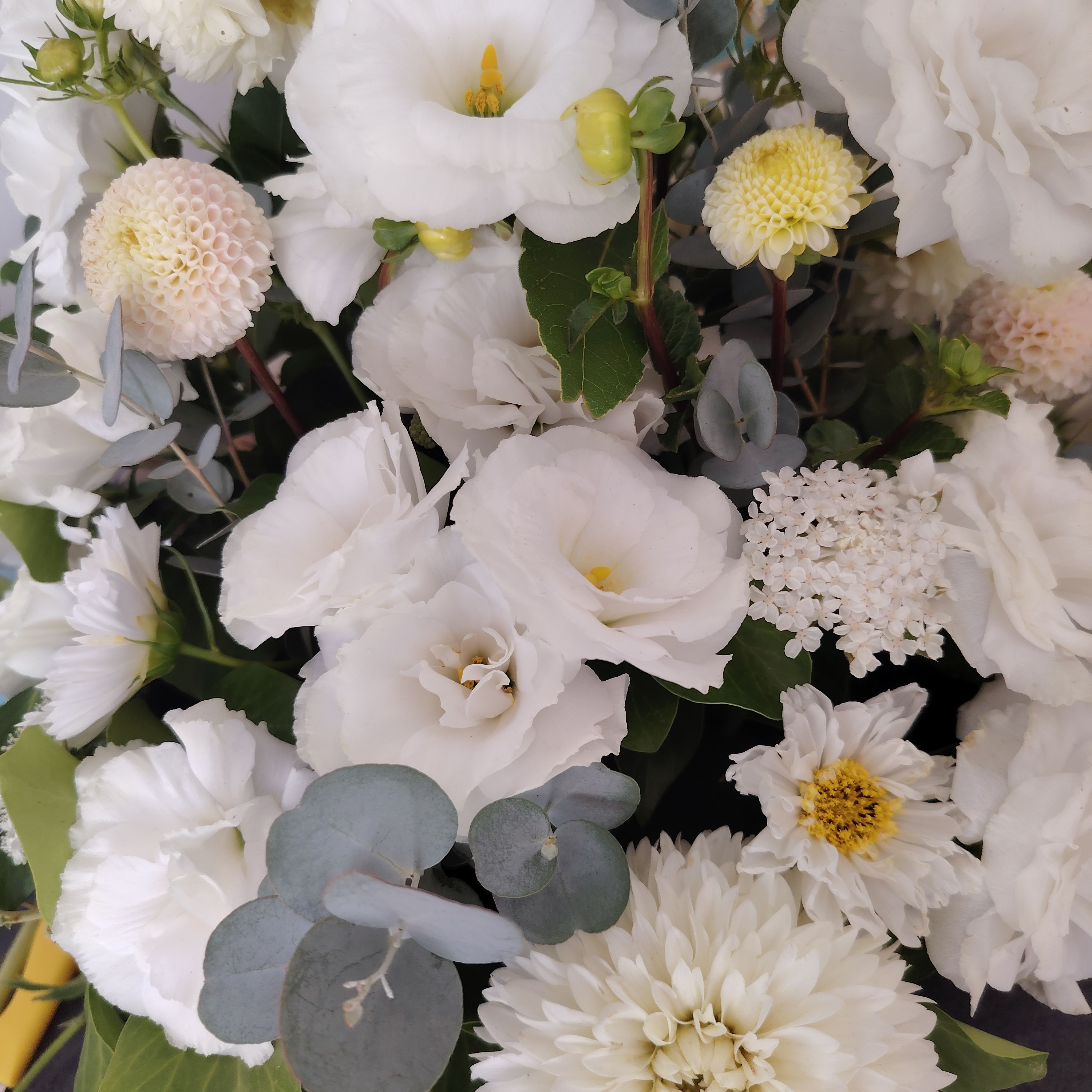 Abonnement fleurs du souvenir 4 fleurissements annuels