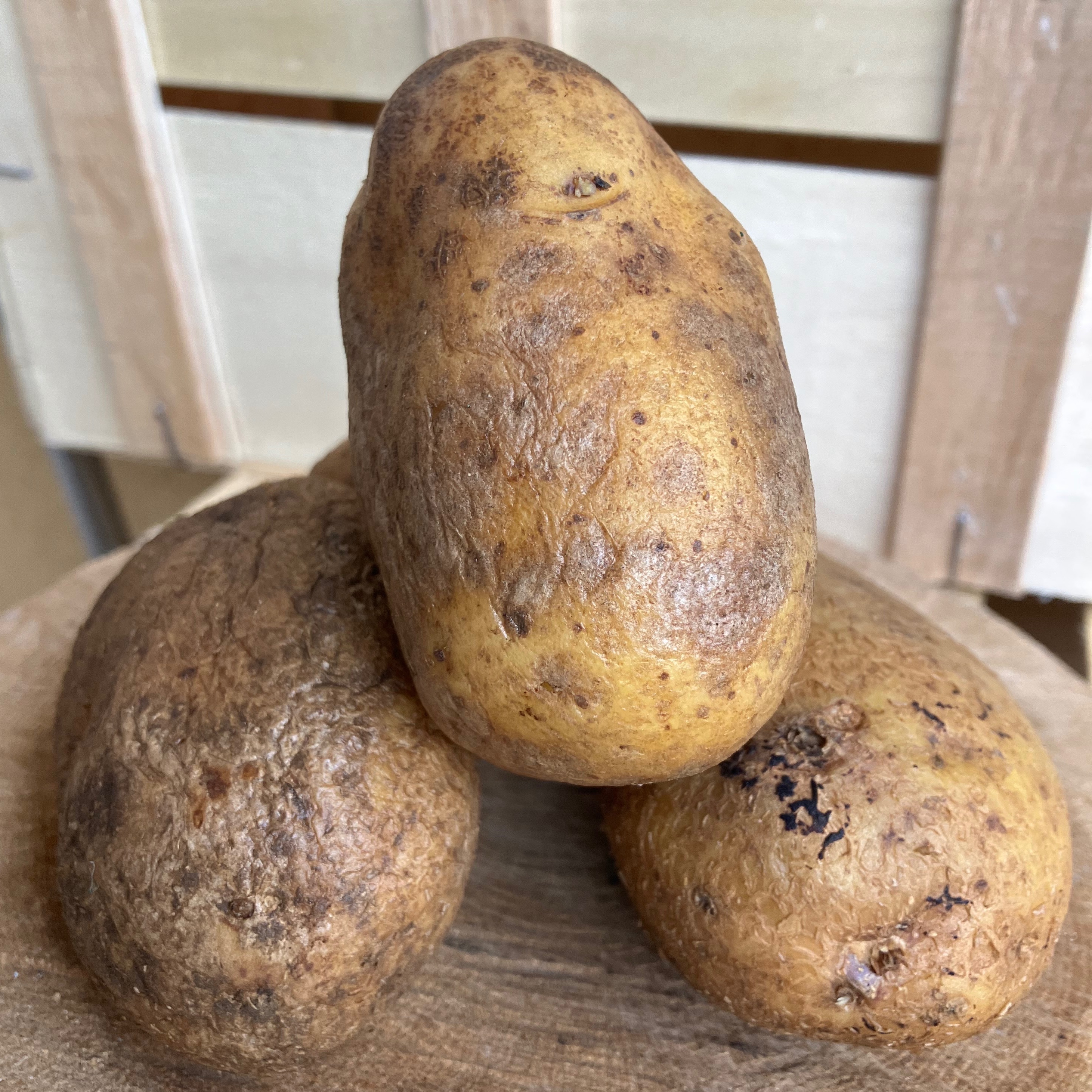 Pomme de terre