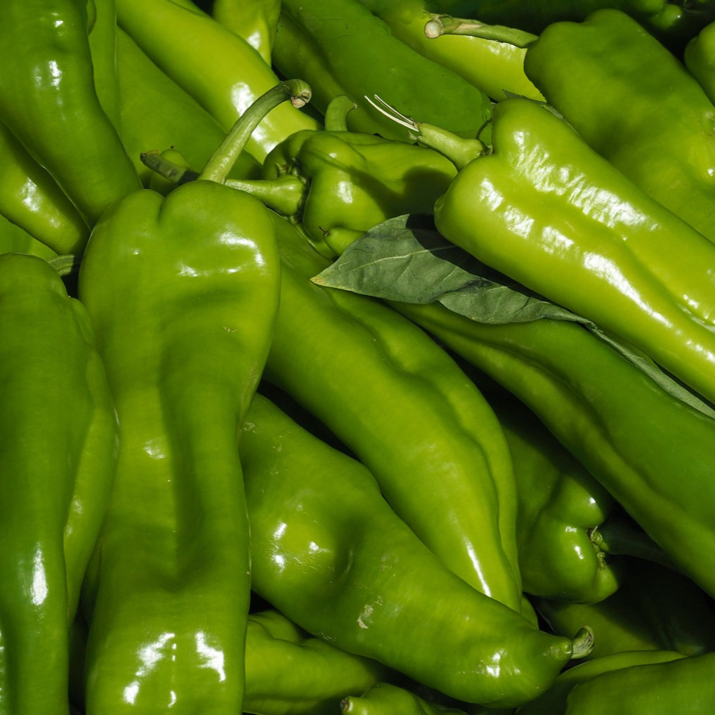 Poivron corne vert - 500g