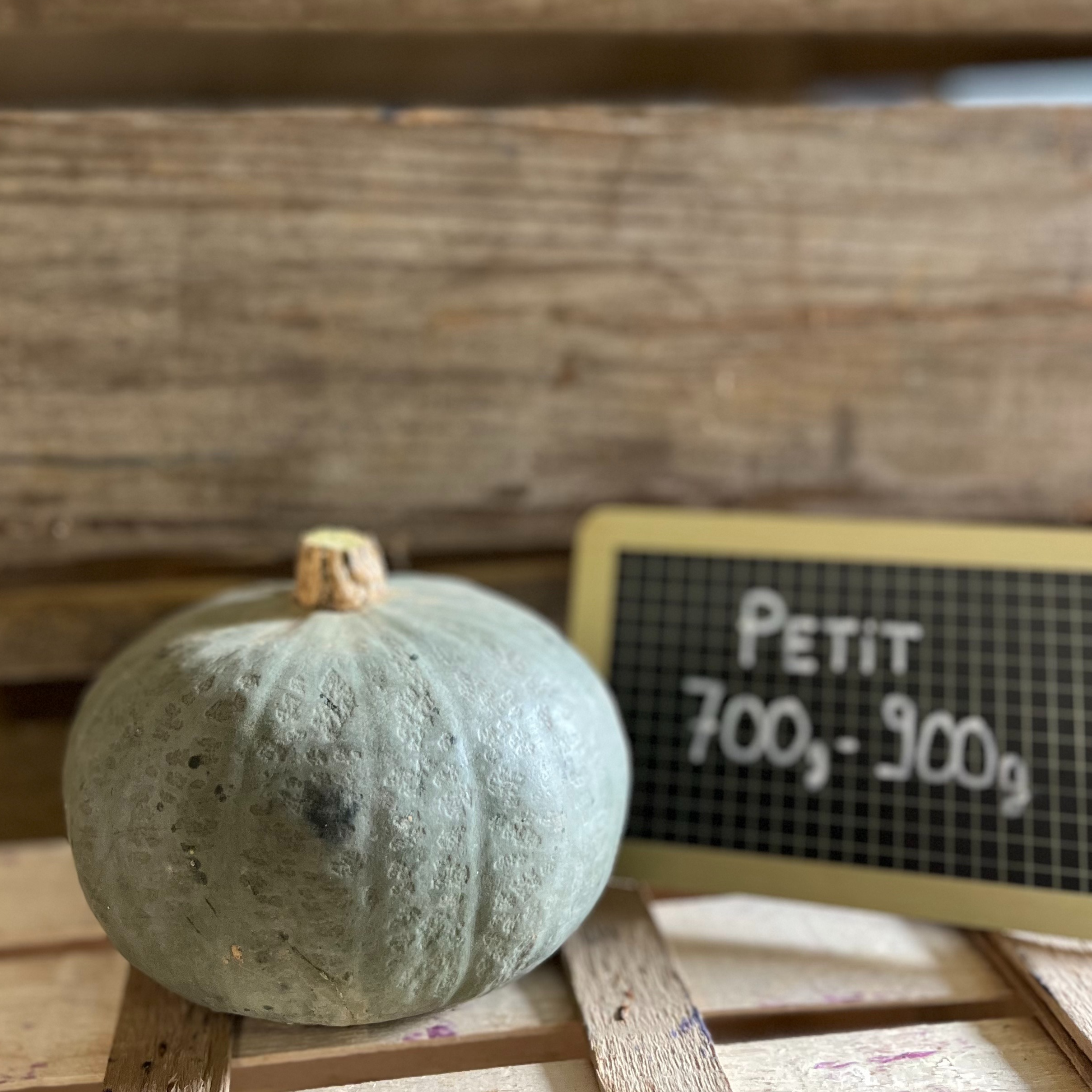 Bleue de Hongrie (petit)