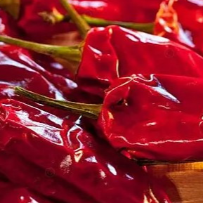 PIMENT GORRIA ROUGE SECHÉ