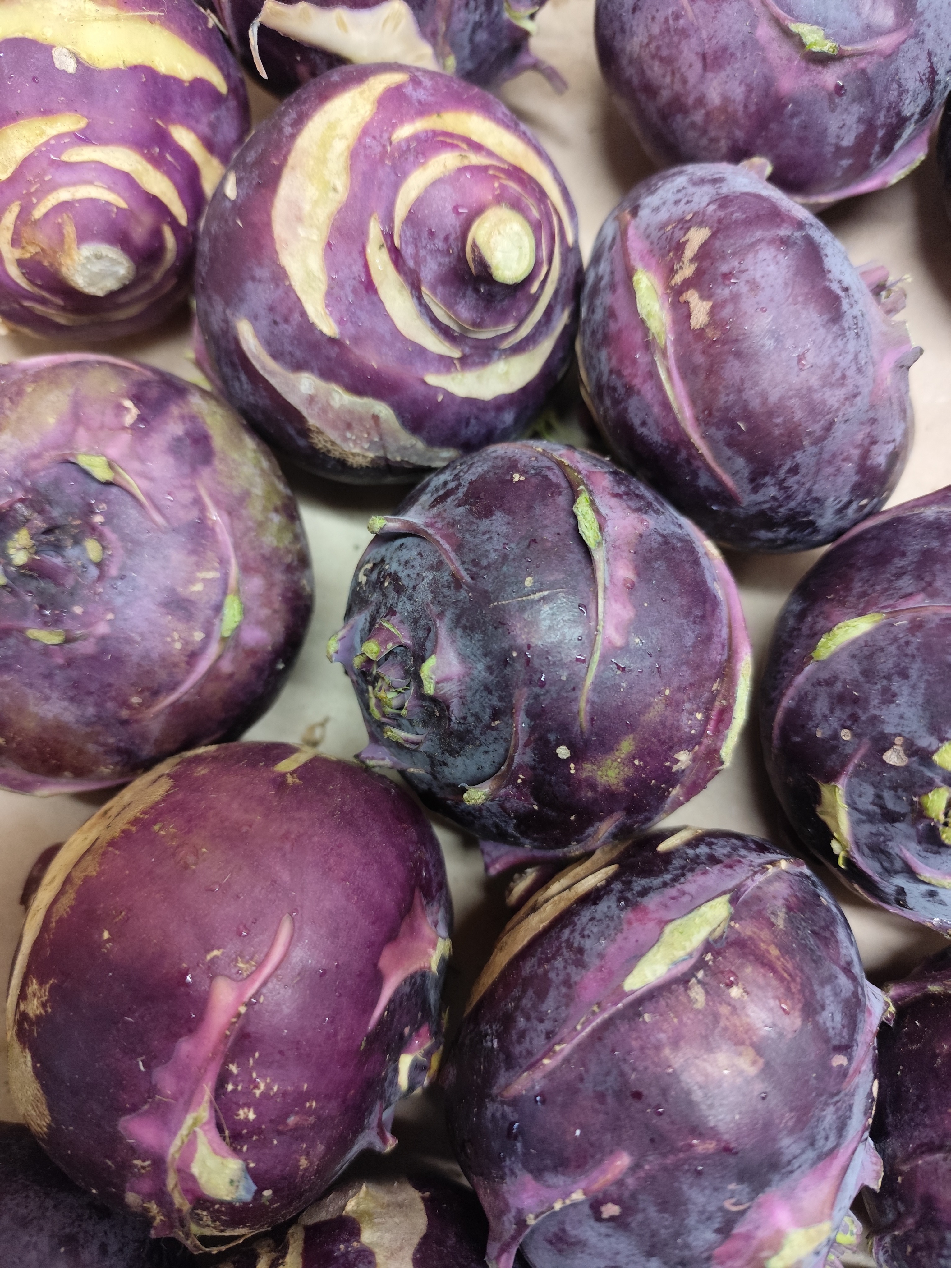 Chou Rave Violet 1 KG