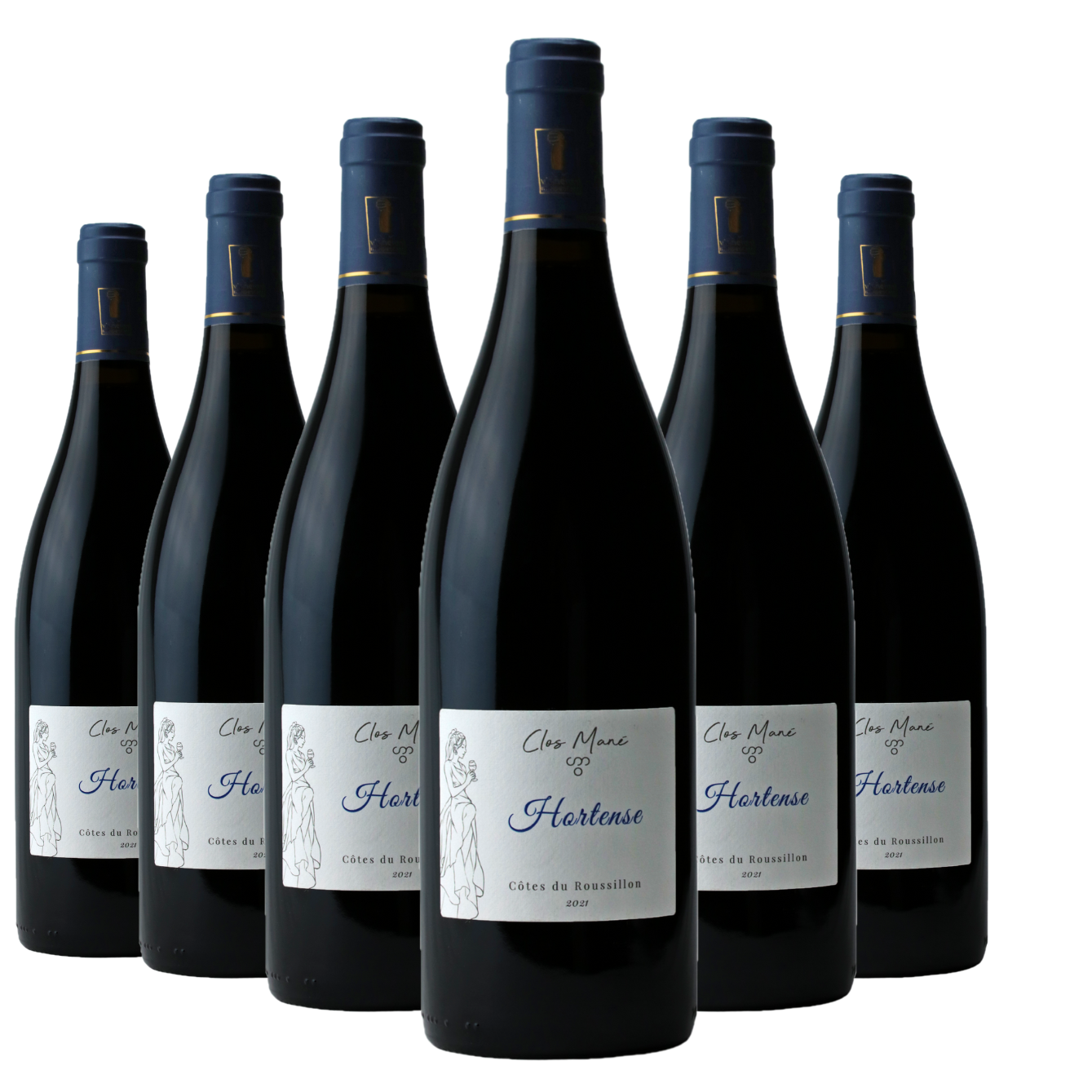 Hortense *2021* x6 - Vin rouge Bio AOP Côtes du Roussillon