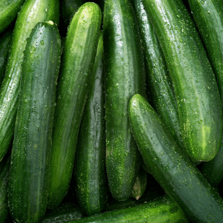 Concombre long - 1 pièce