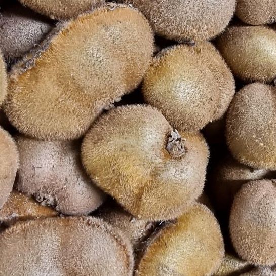 Kiwi vert Hayward extra-plat - 200g