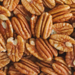 Pacanier Kanza ou Pawnee - pot 6L