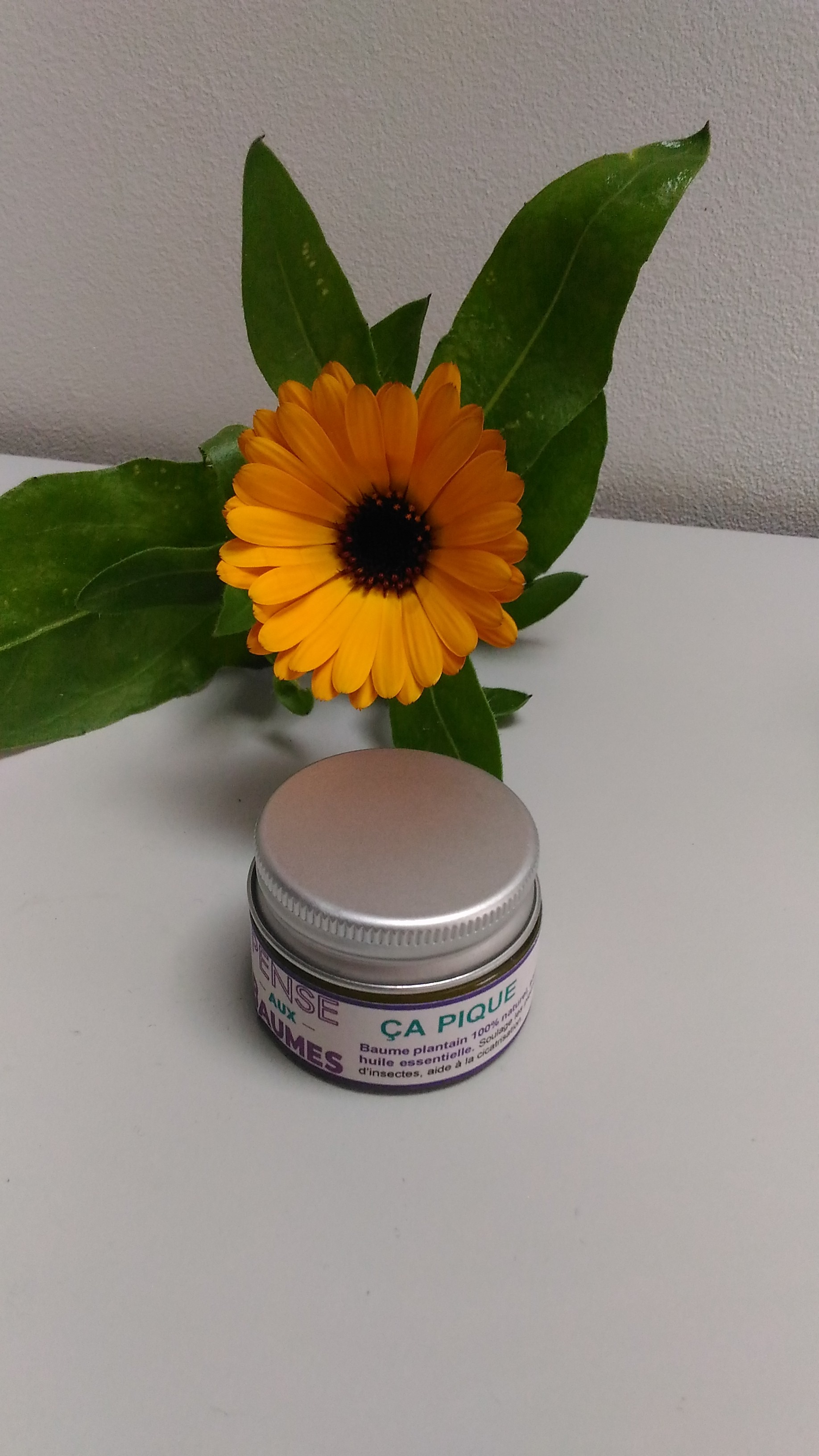 Baume Ca pique - 15ml