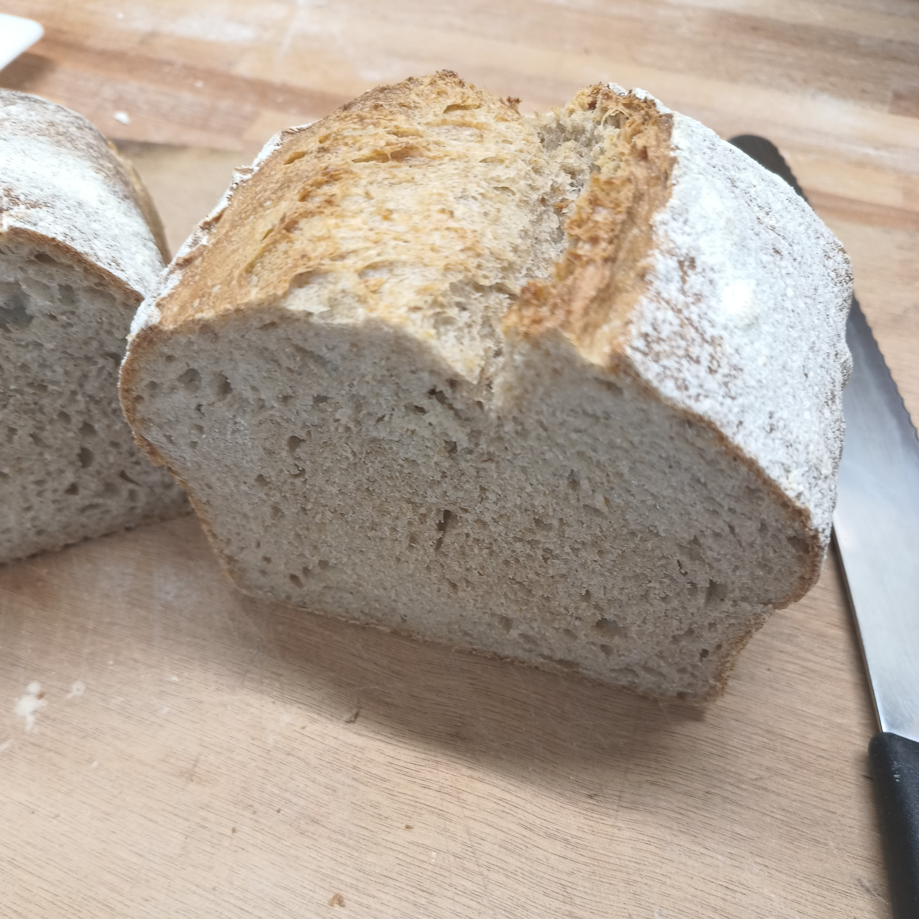 Pain Rustique moulé - 1000g