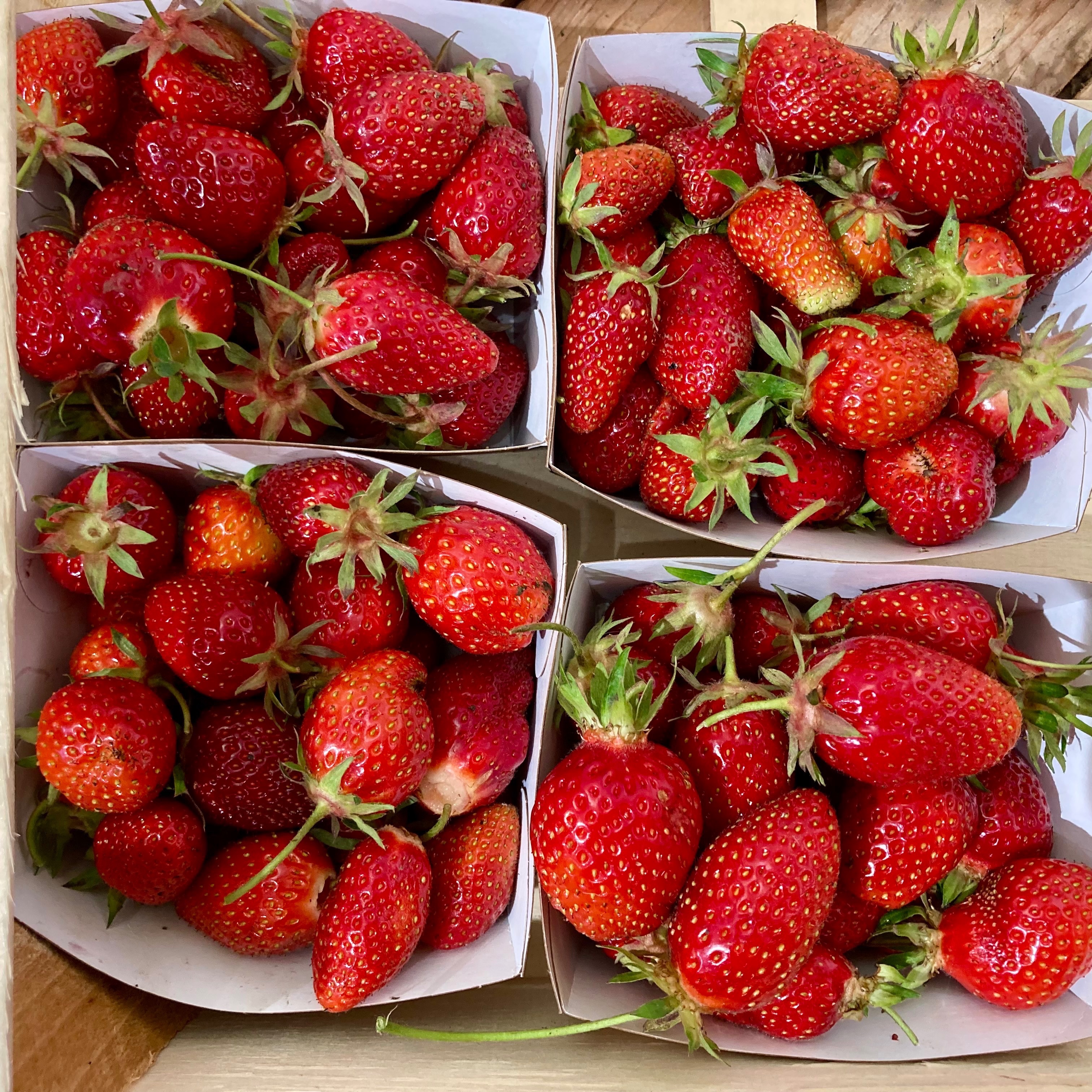 Fraise (Barquette) - 250g