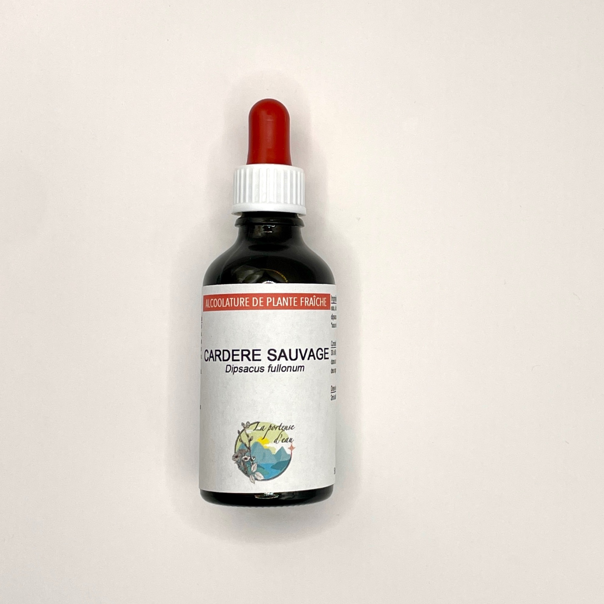 Cardère, Dipsacus sylvestris - 50ml
