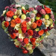 Coeurs, le fabuleux, 250€