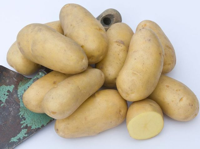 pommes de terre BIO - variété toutes cuissons