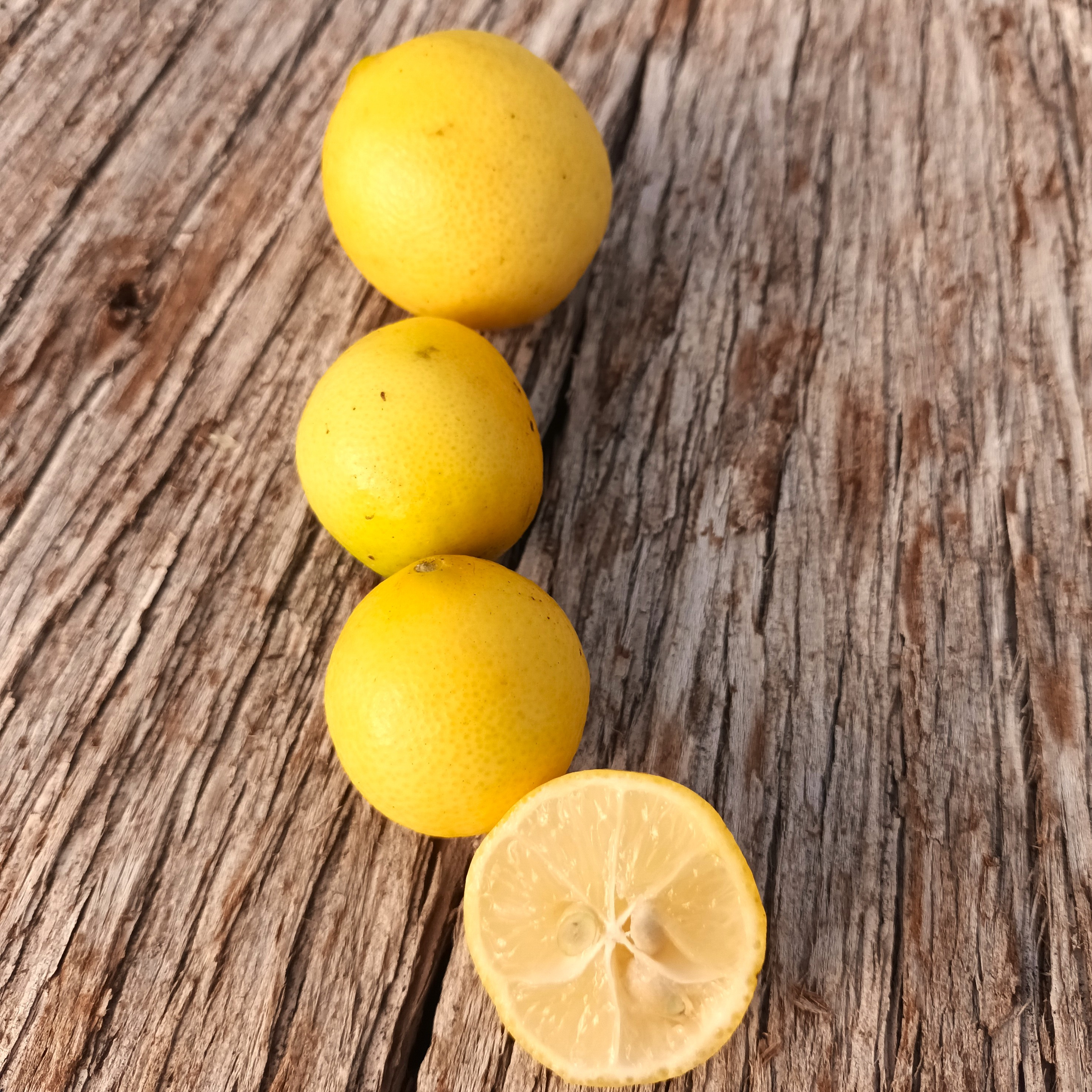 Limequat Lakeland - 3l