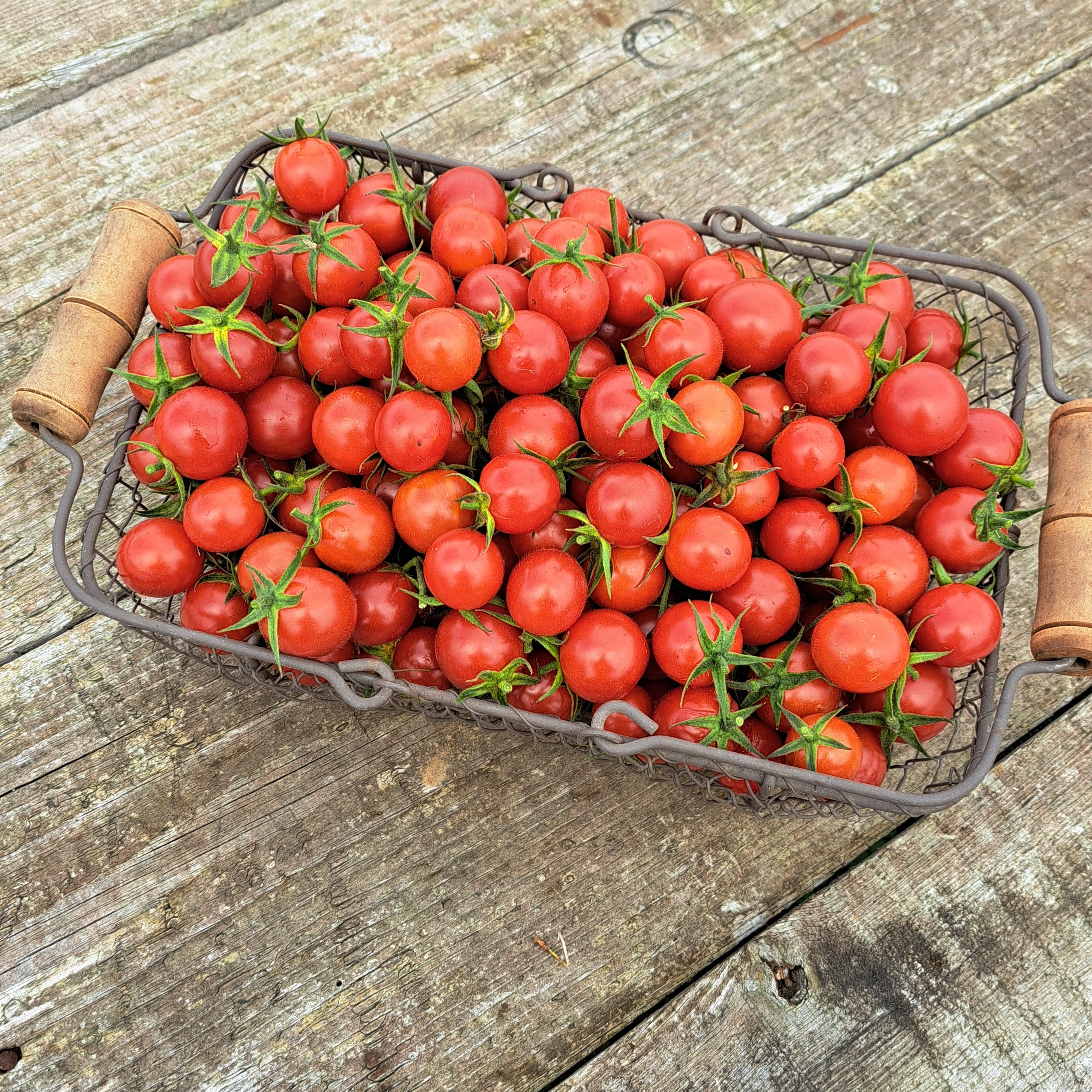 Tomates cerises barquette 300gr