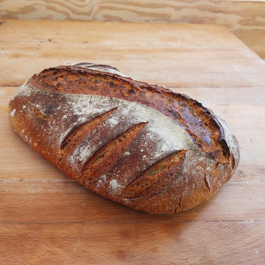 Campagne 1,5kg long - 1,5kg