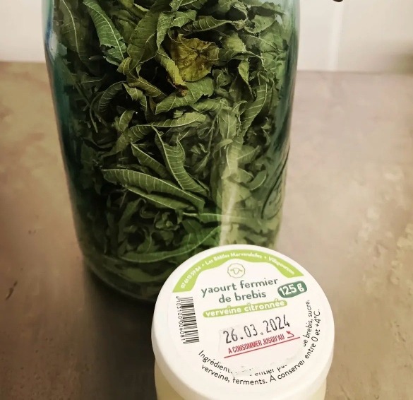 Yaourt de brebis saveur verveine - à l'unité - 125g