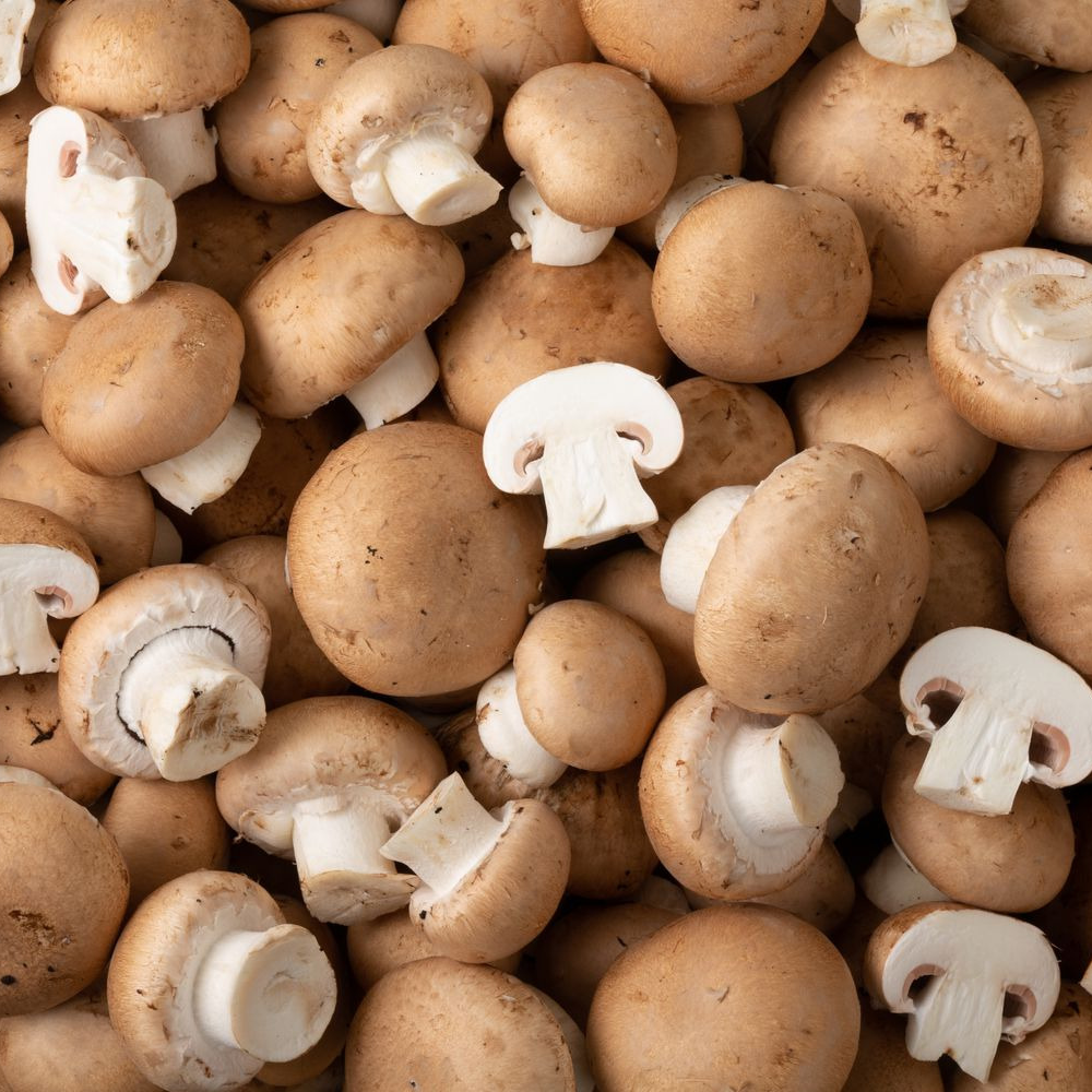Champignon Brun (100gr)