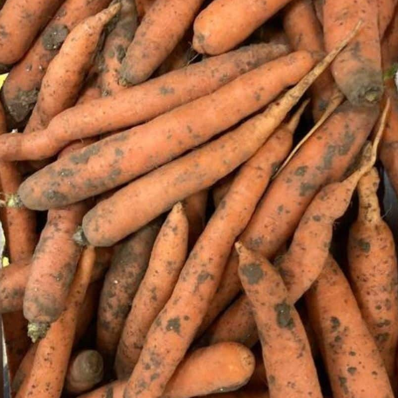 Carotte vrac