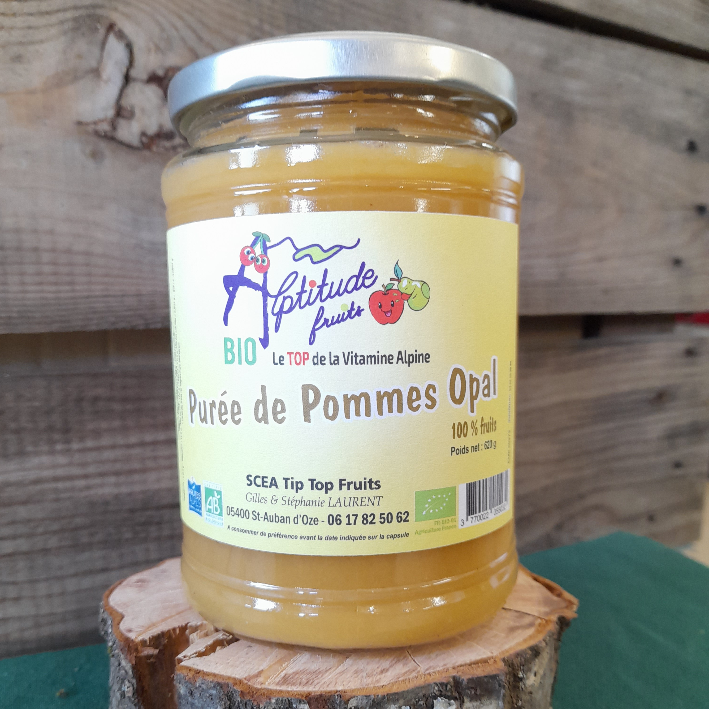 COMPOTE DE POMMES 620G