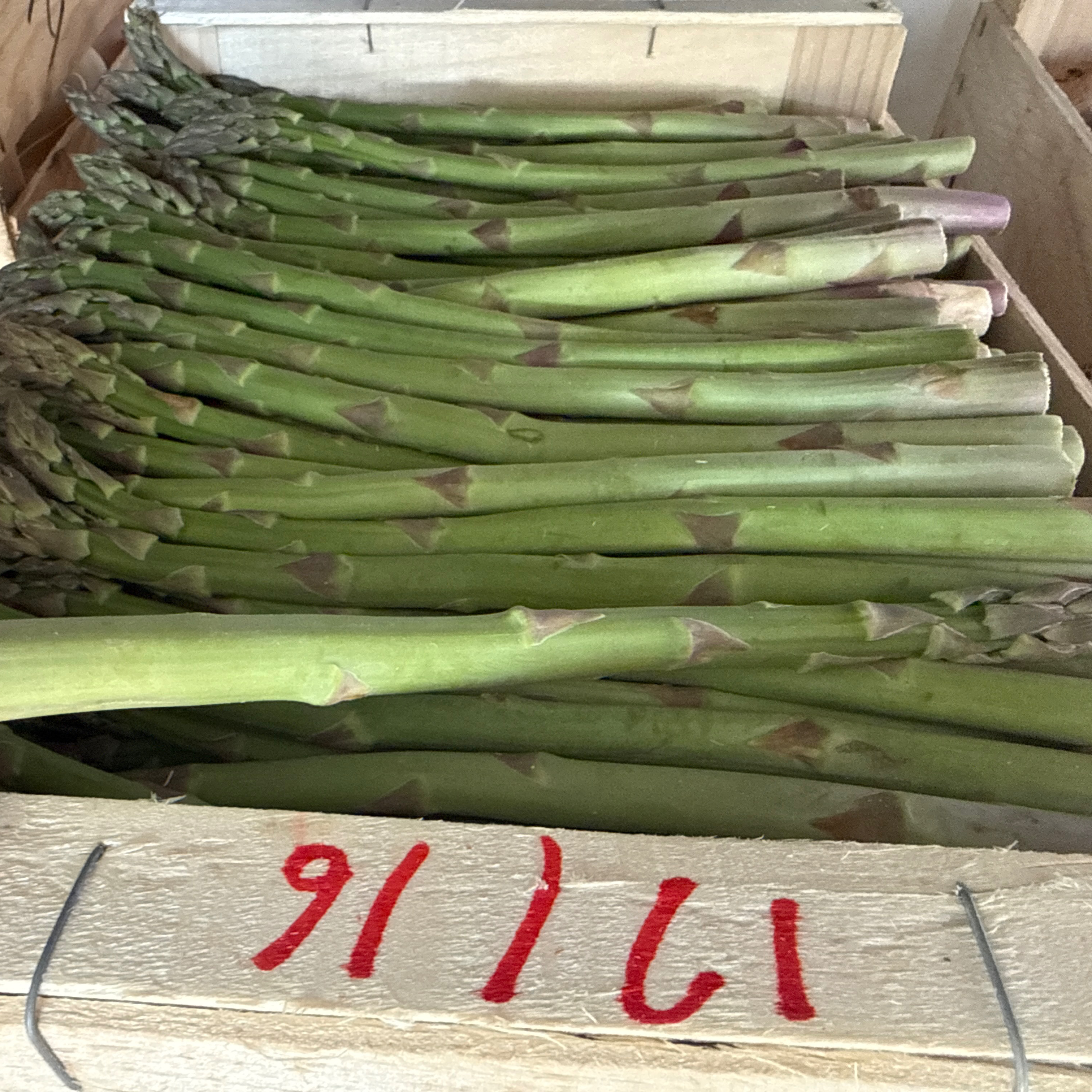 Asperge verte fine botte - 500g