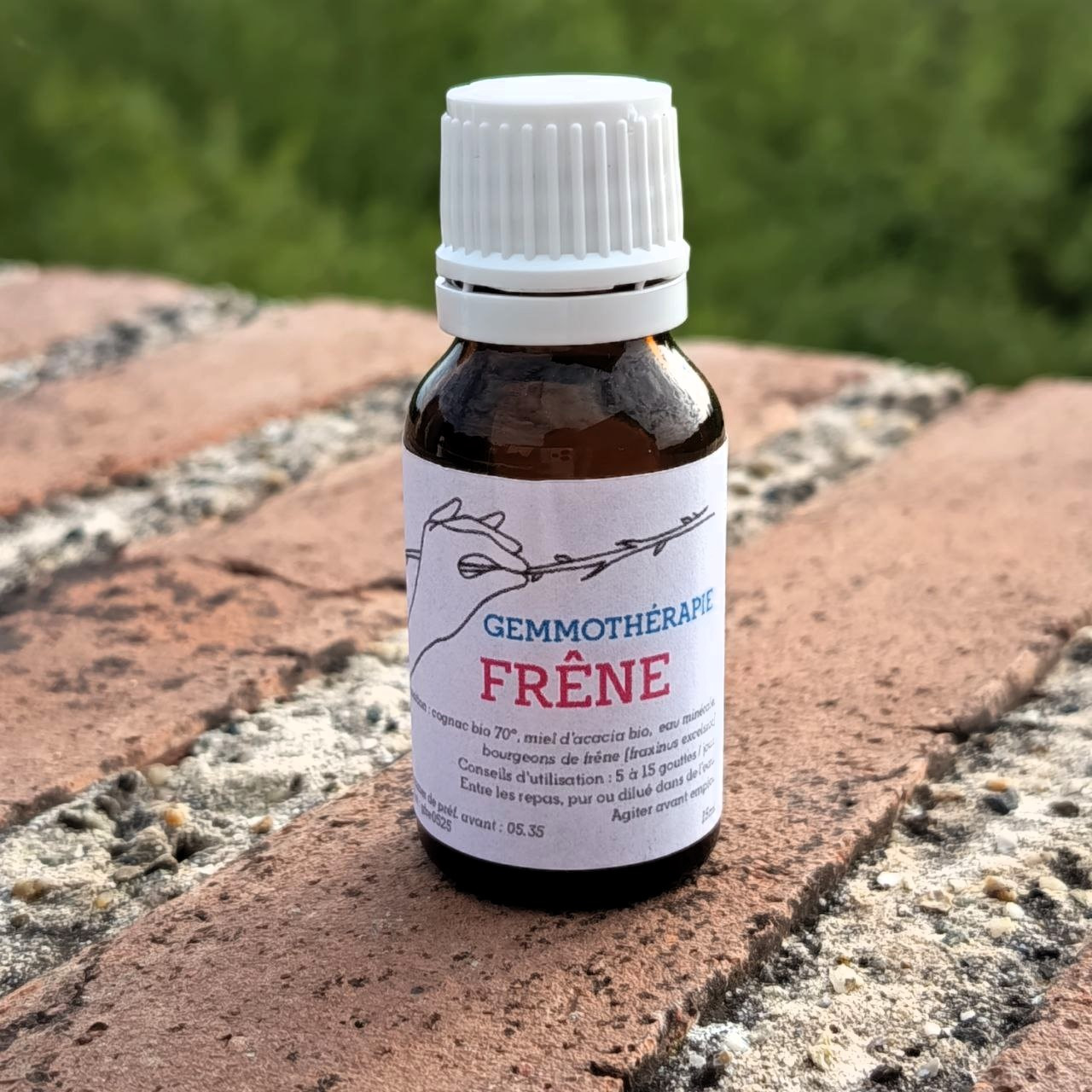 Frêne • Draineur : Rein, Articulation, Ligaments & Minceur - 15ml