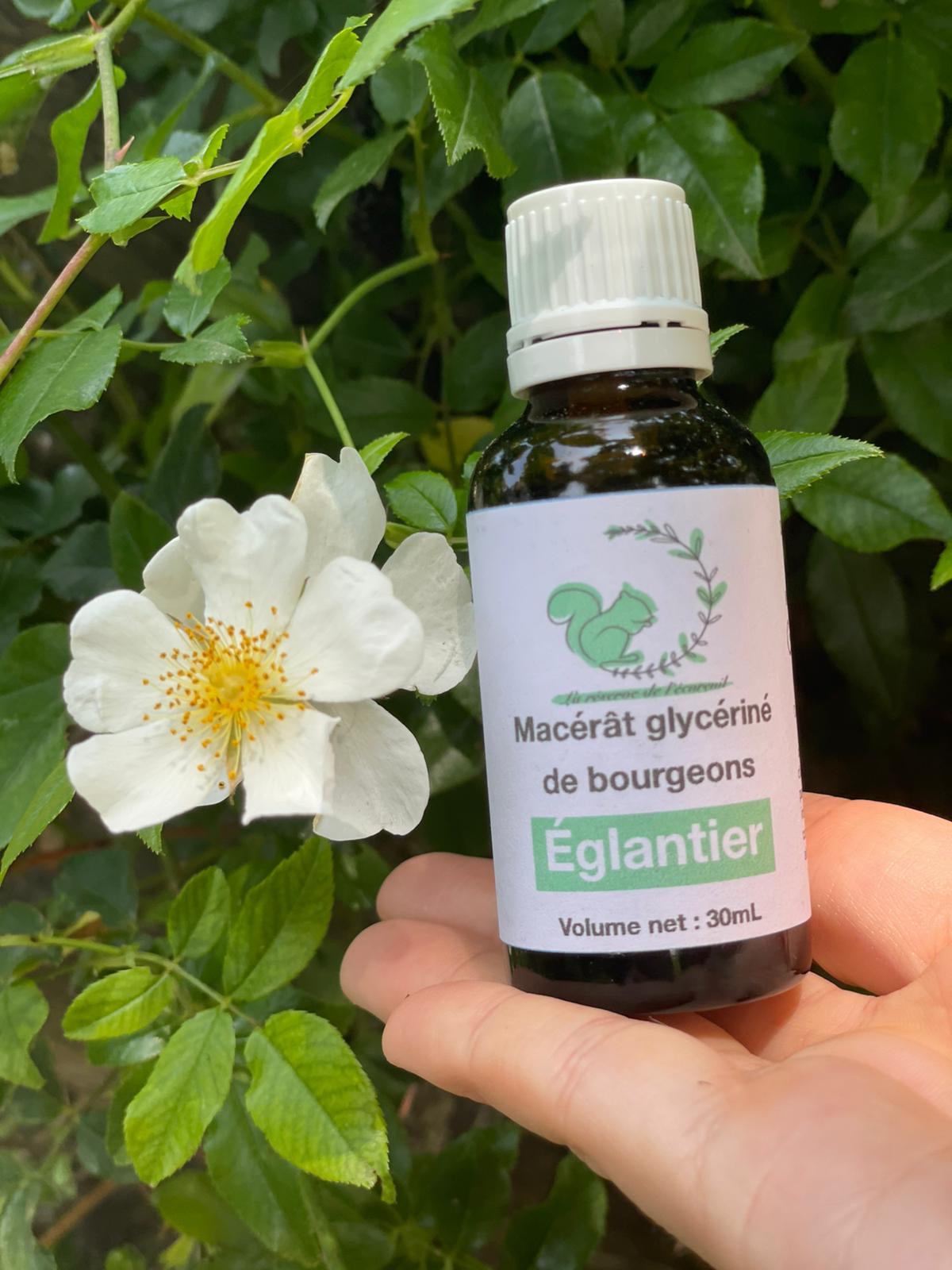 Gemmothérapie Églantier - 30ml