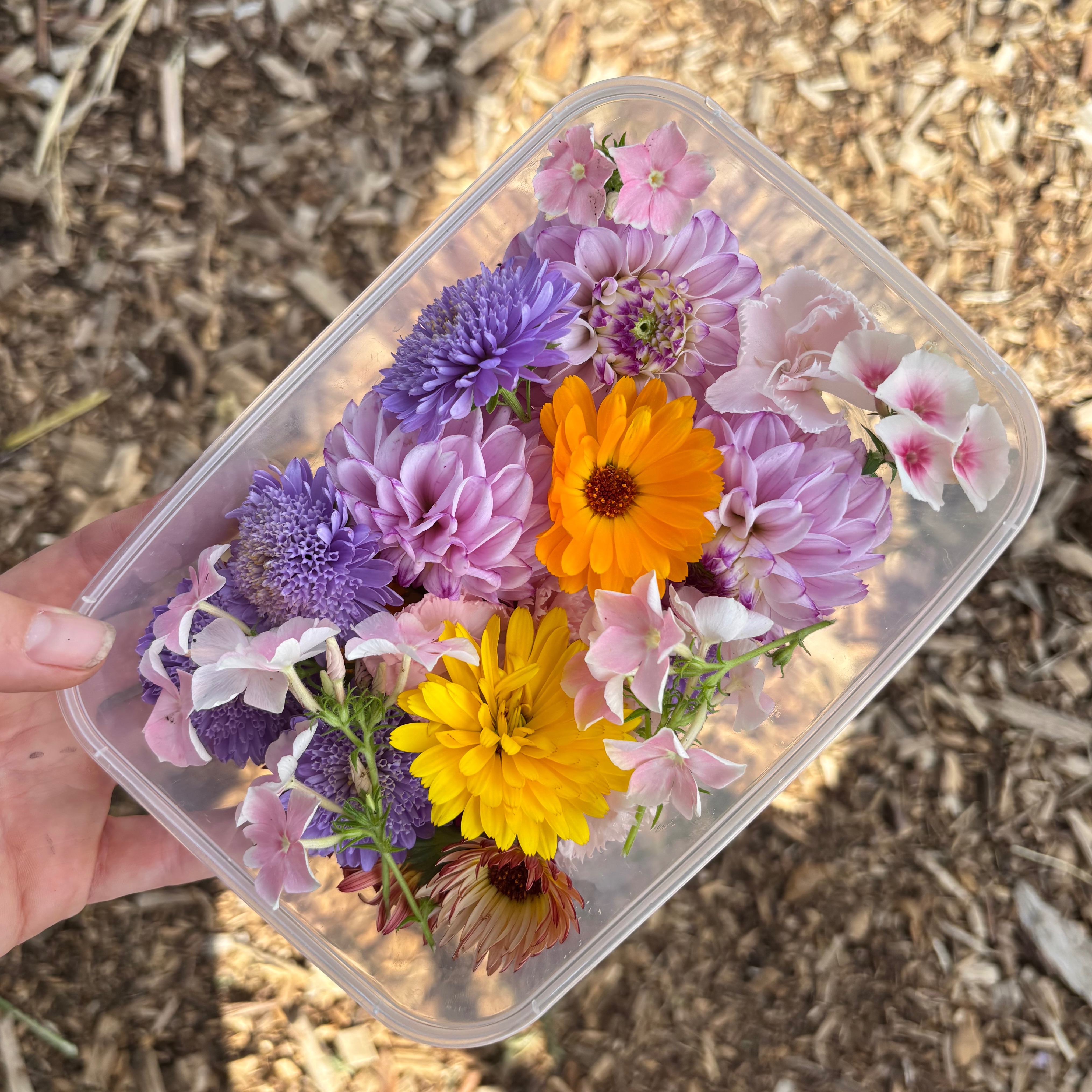 Mix de fleurs