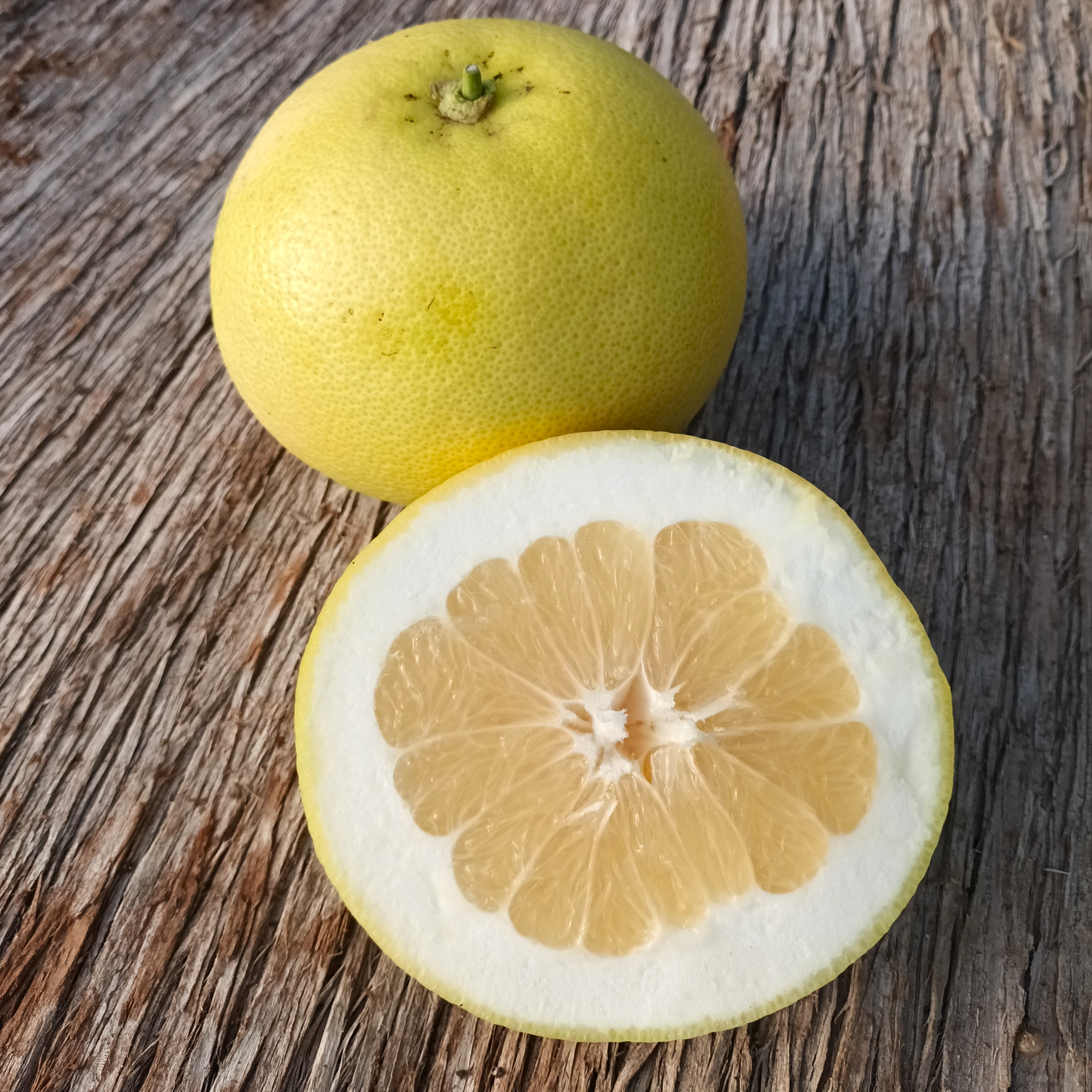 Pomelo Oroblanco