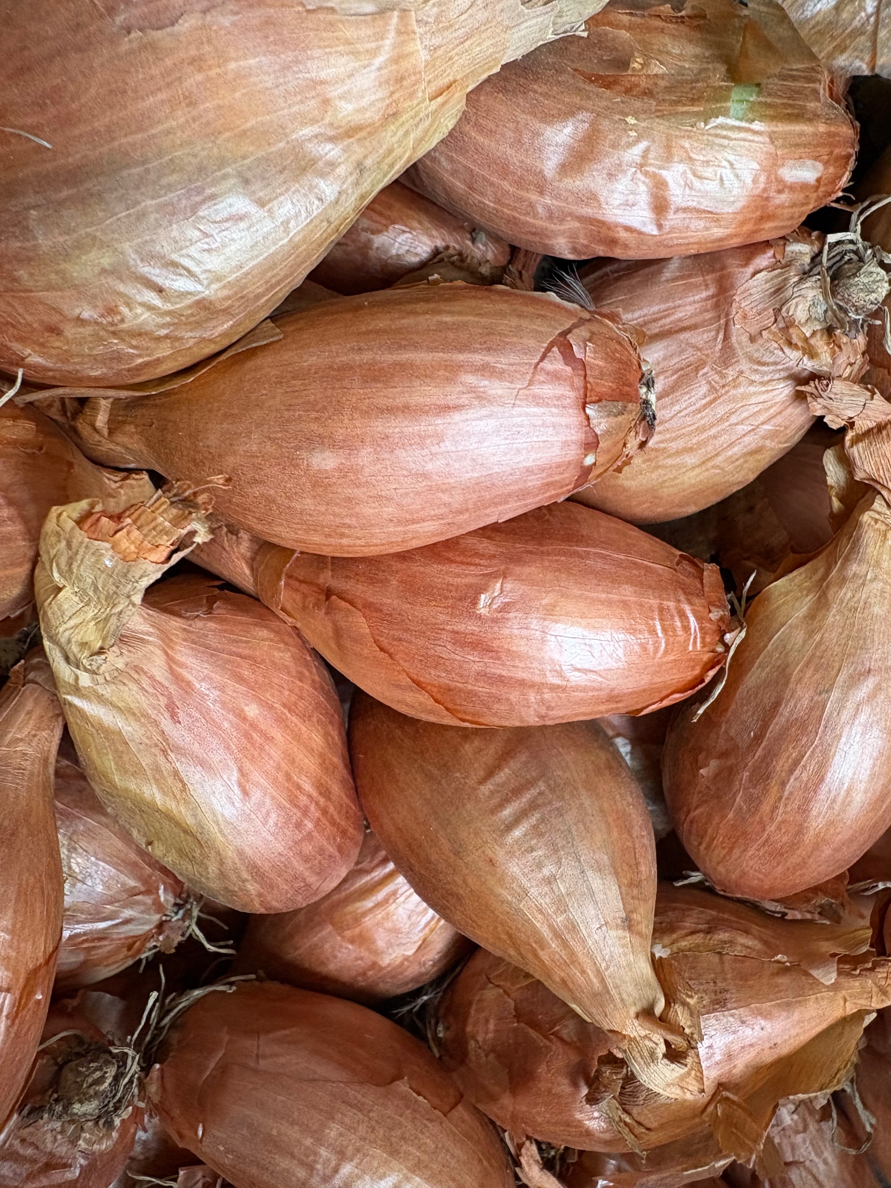 Échalote signale sachet de 500g - 500g