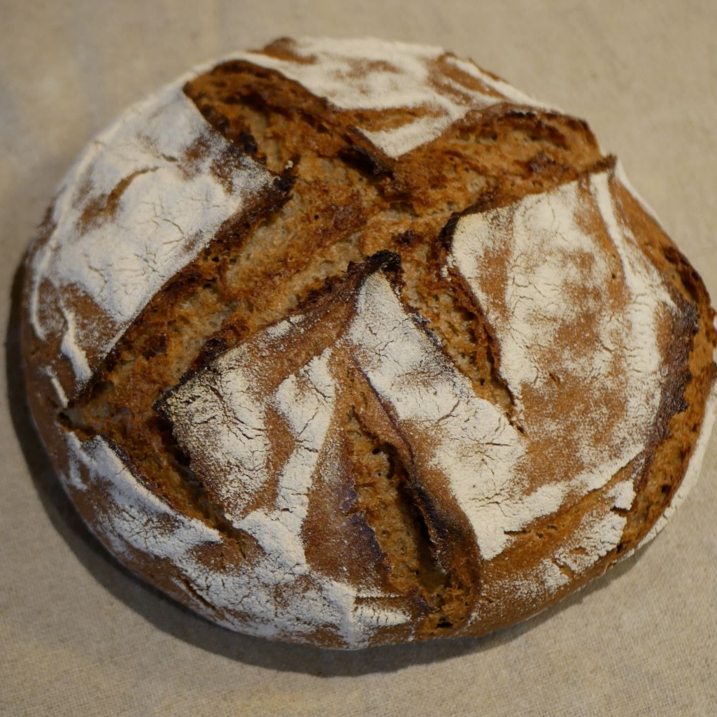 Petit méteil - seigle et blé - 500g