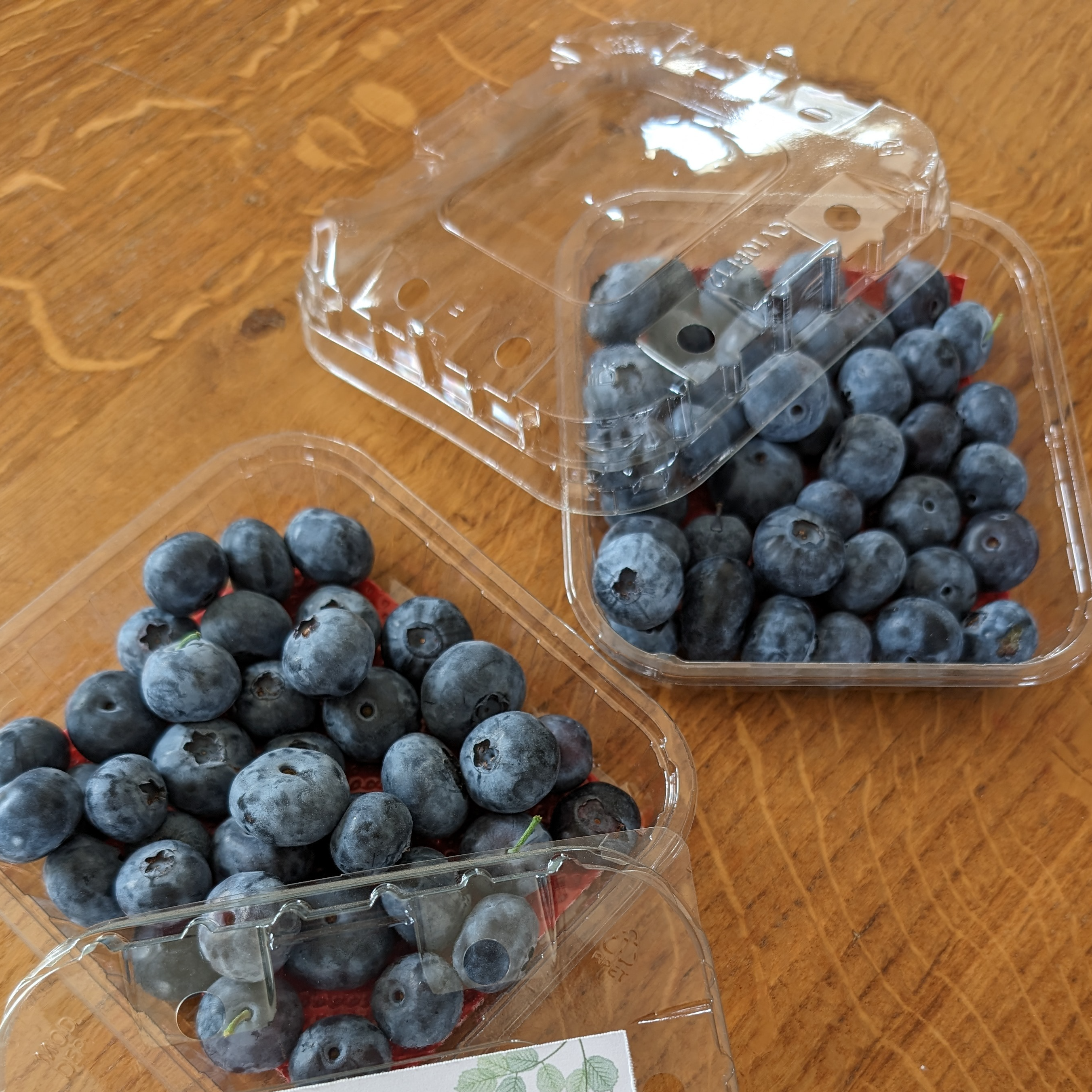 Myrtilles fraiches récoltées à la mains - 125g