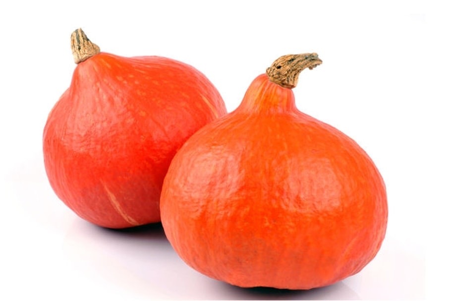 Courge ‘Potimarron’