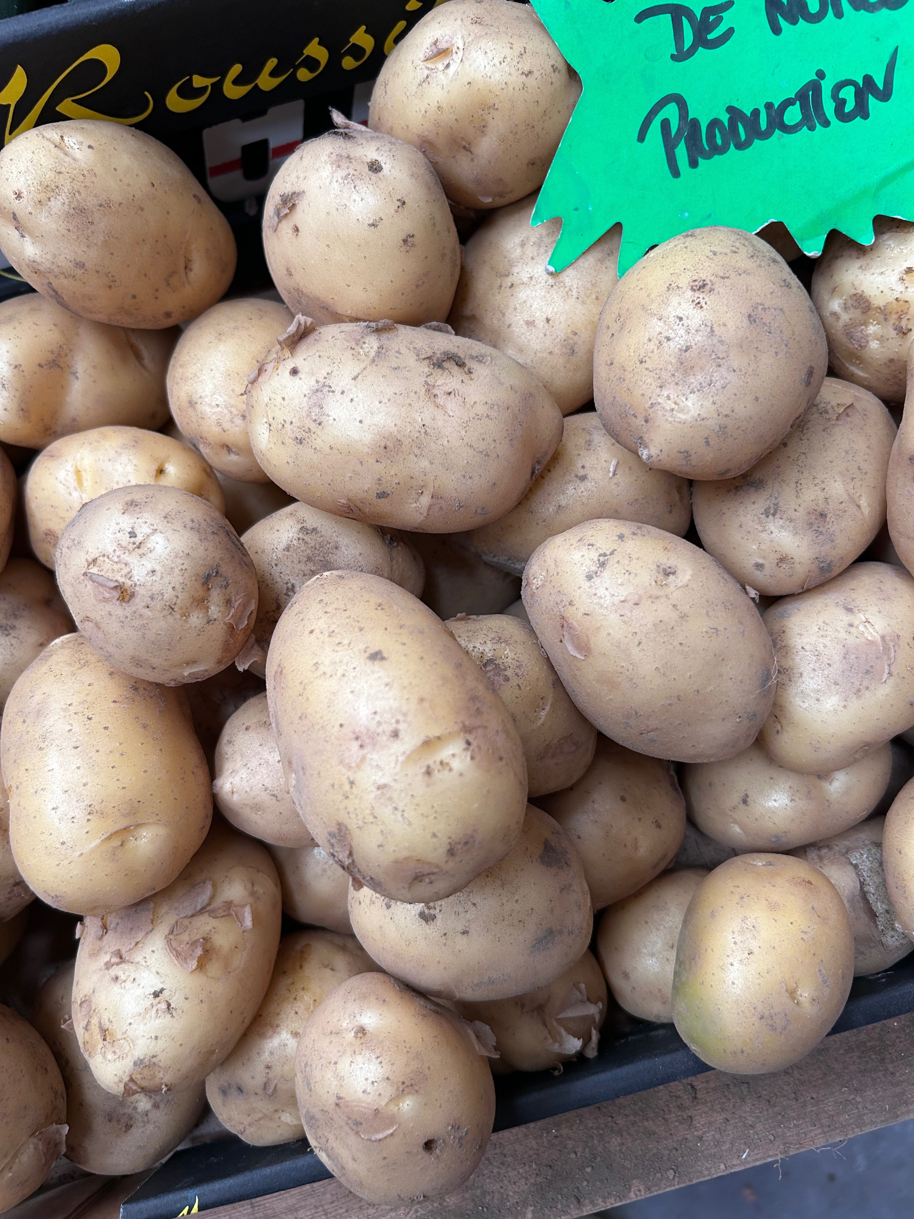 POMME DE TERRE MONA LISA