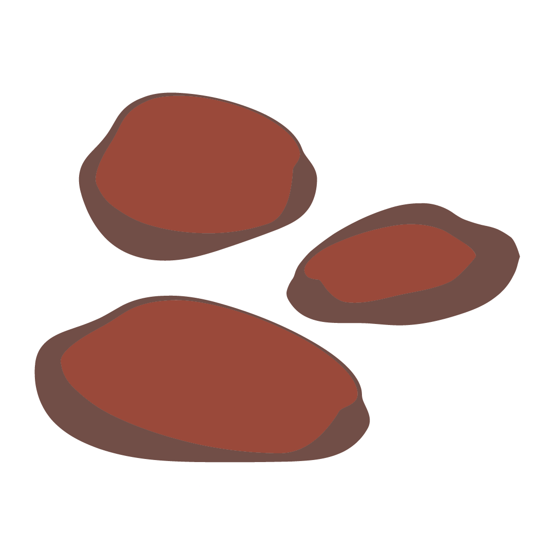 Pomme de Terre dalida chair fondante