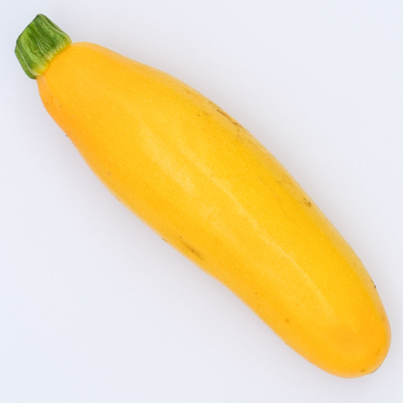 Courgette Jaune